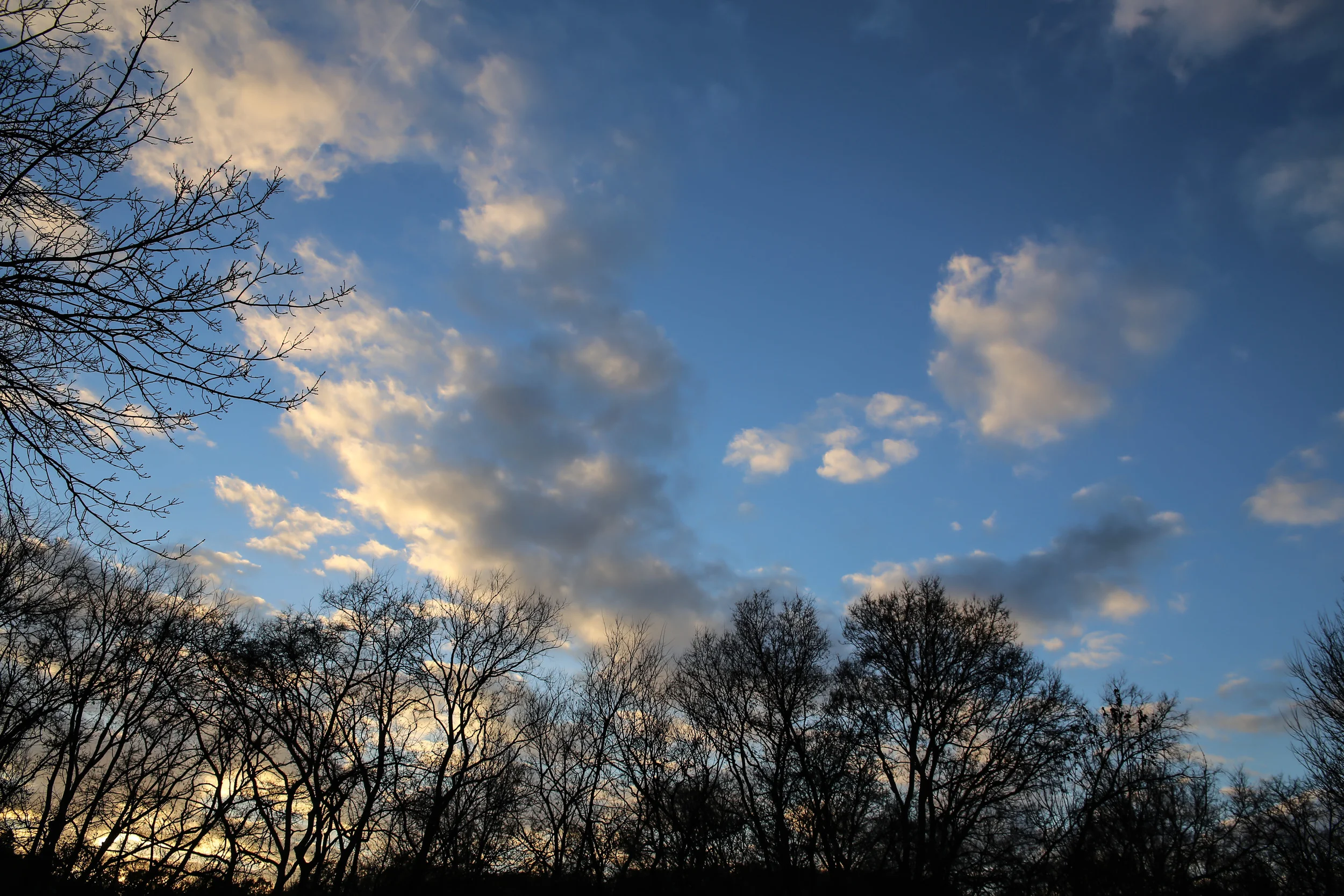 IMG_8672.12.jpg