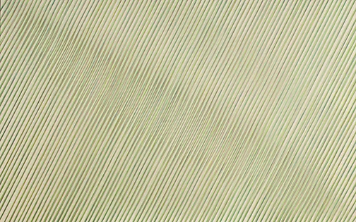 Diagonal, 2008