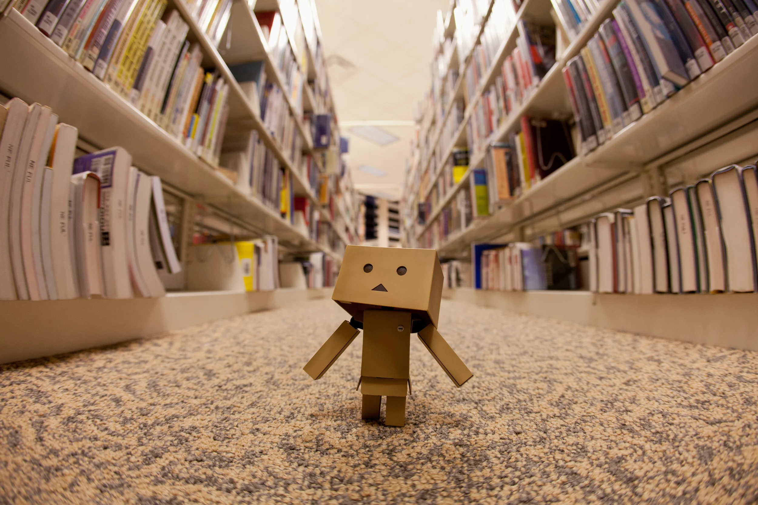 Spending a Rainy Day at the Library