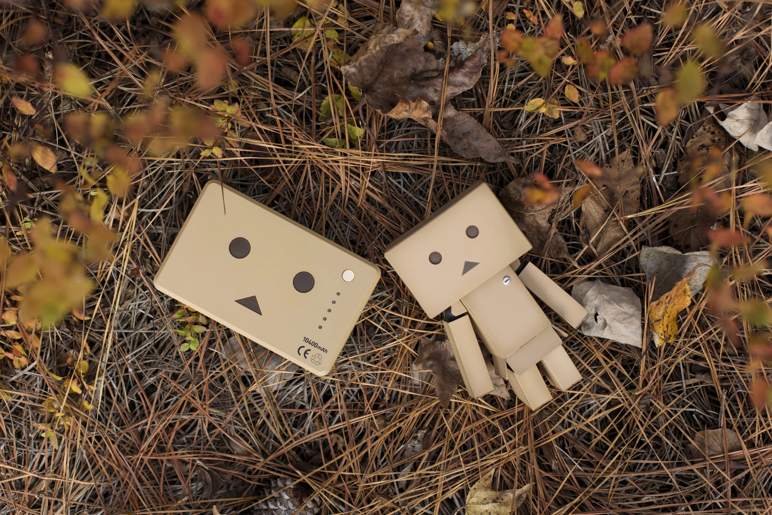 Cheero Danboard Battery