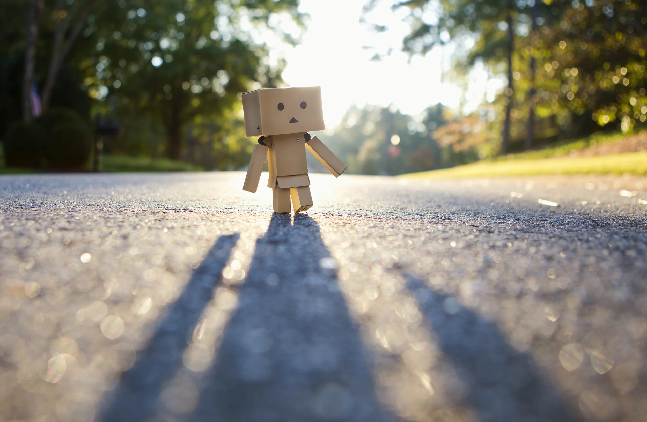 Day 293-366 - Stumbling Down the Street.jpg