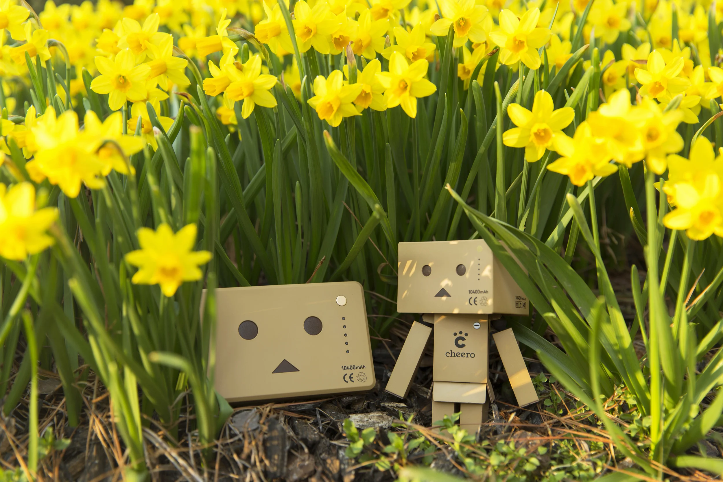 Hiding in the Flowers.jpg