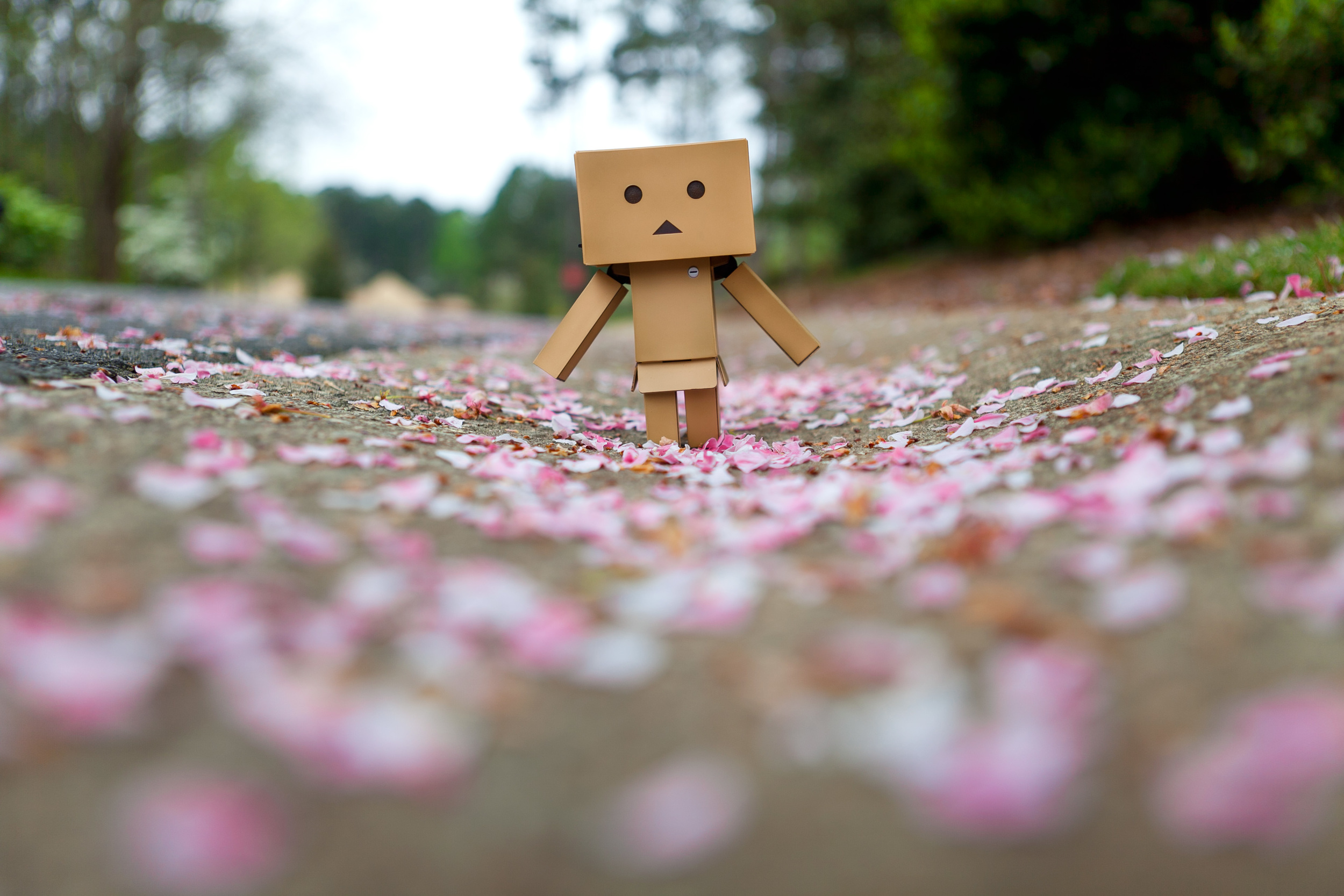 Day 83-366 - Spring in the Street.jpg