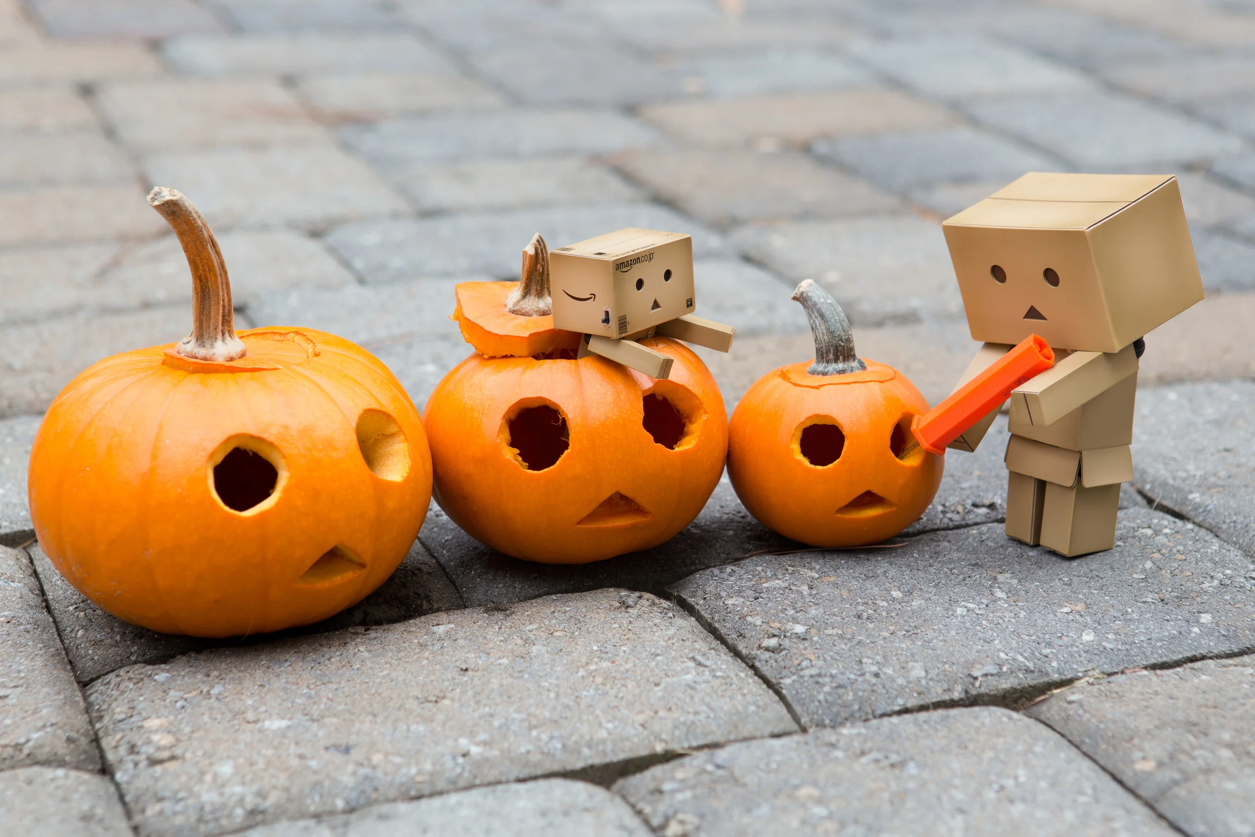 Day 291-366 - Carving the Pumpkins.jpg