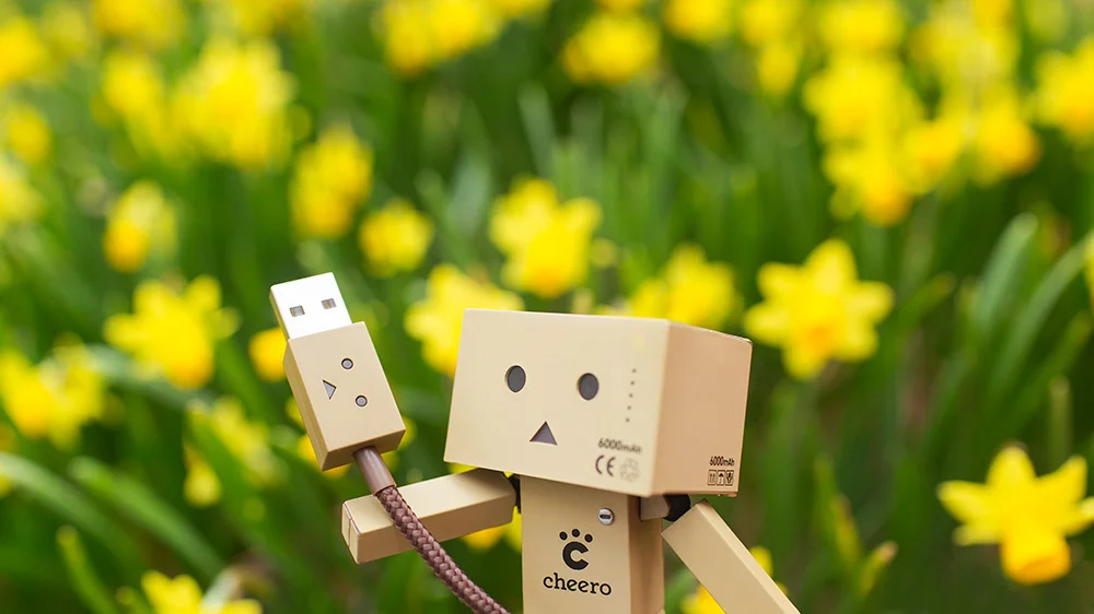 Danboard Cable.jpg