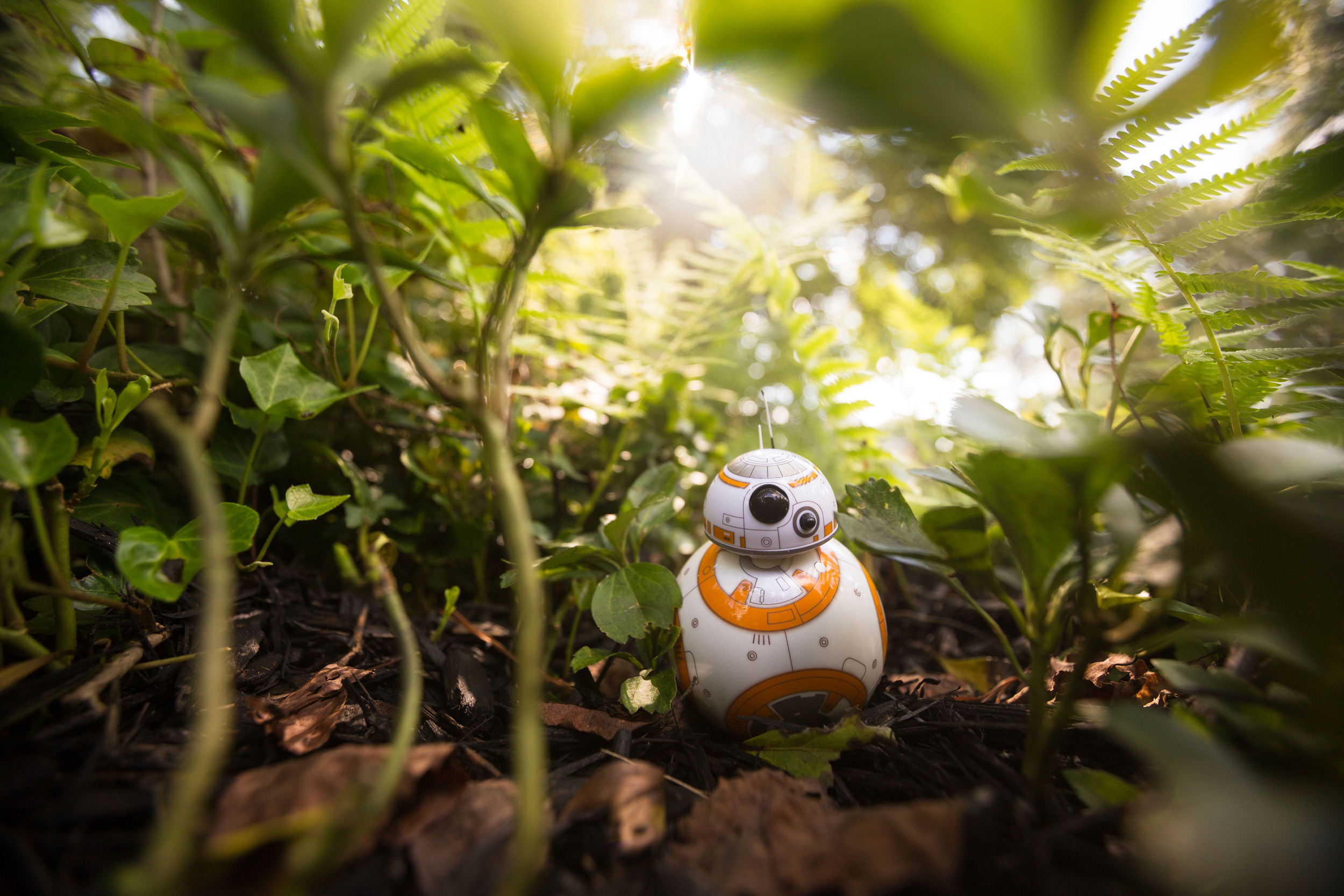 Hello There.jpg