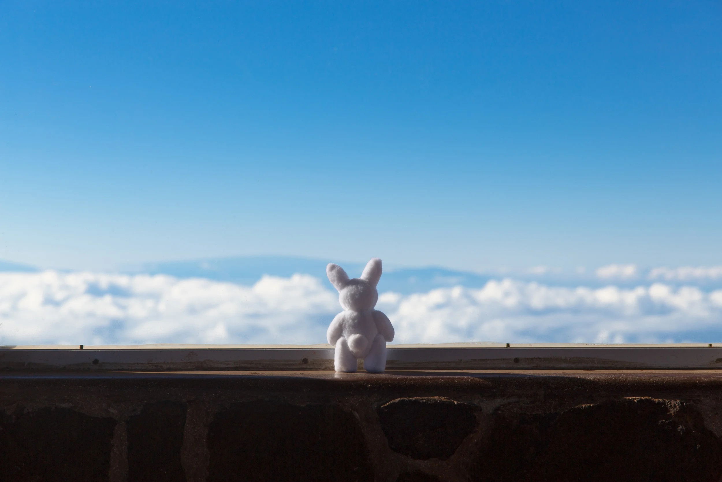 Cloud Watching.jpg
