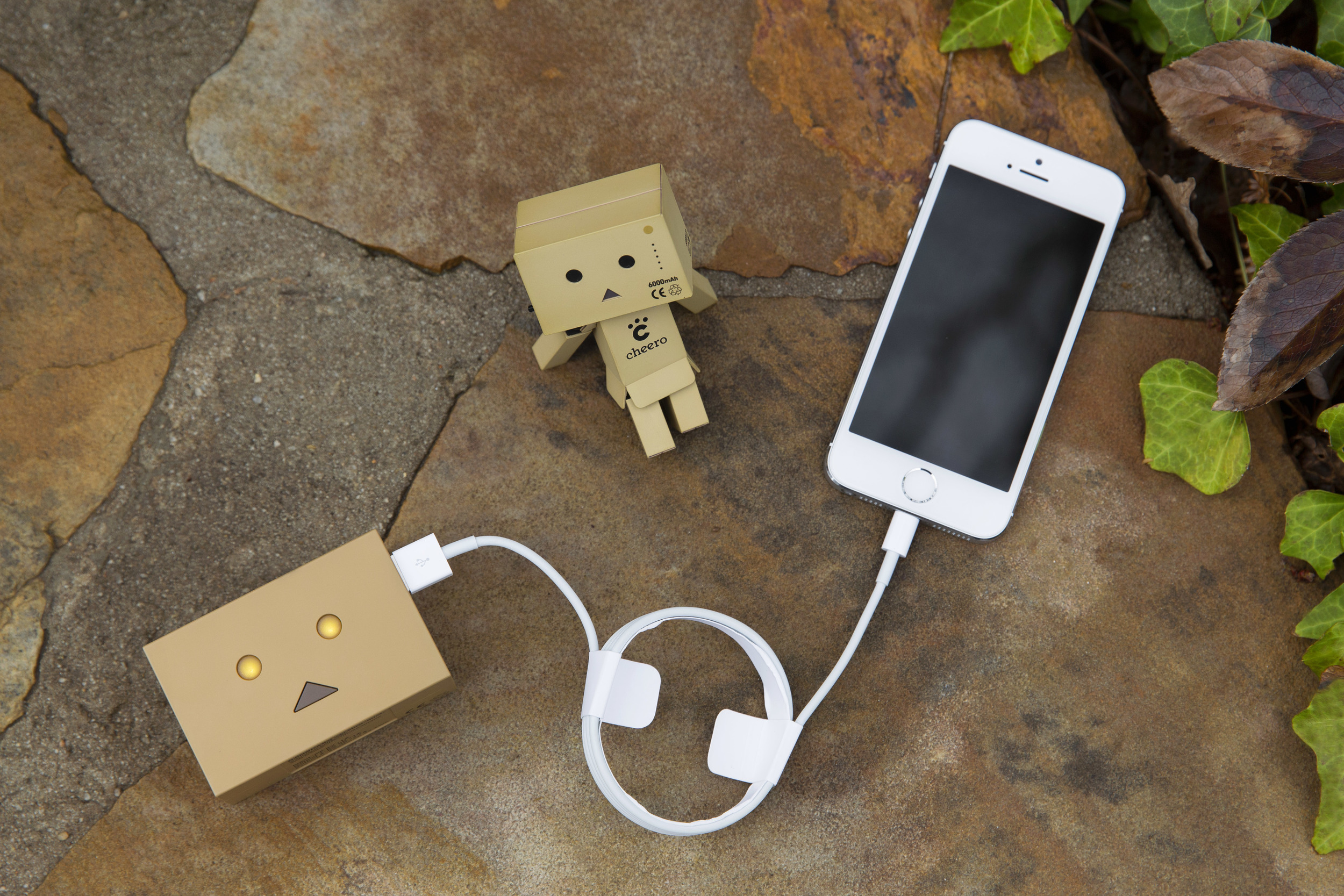 Mini Cheero Danbo.jpg