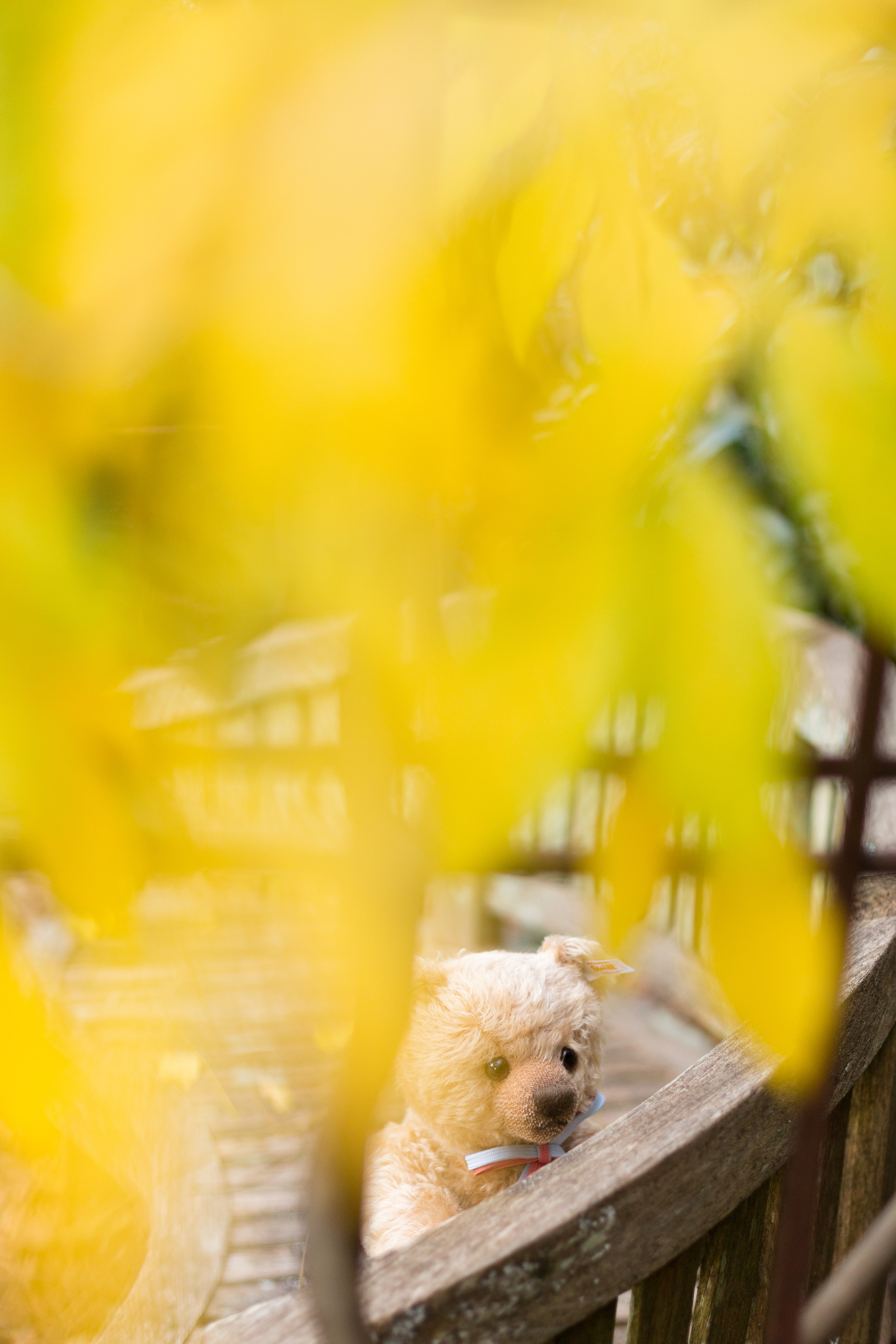 IMG_0478-Edit.jpg