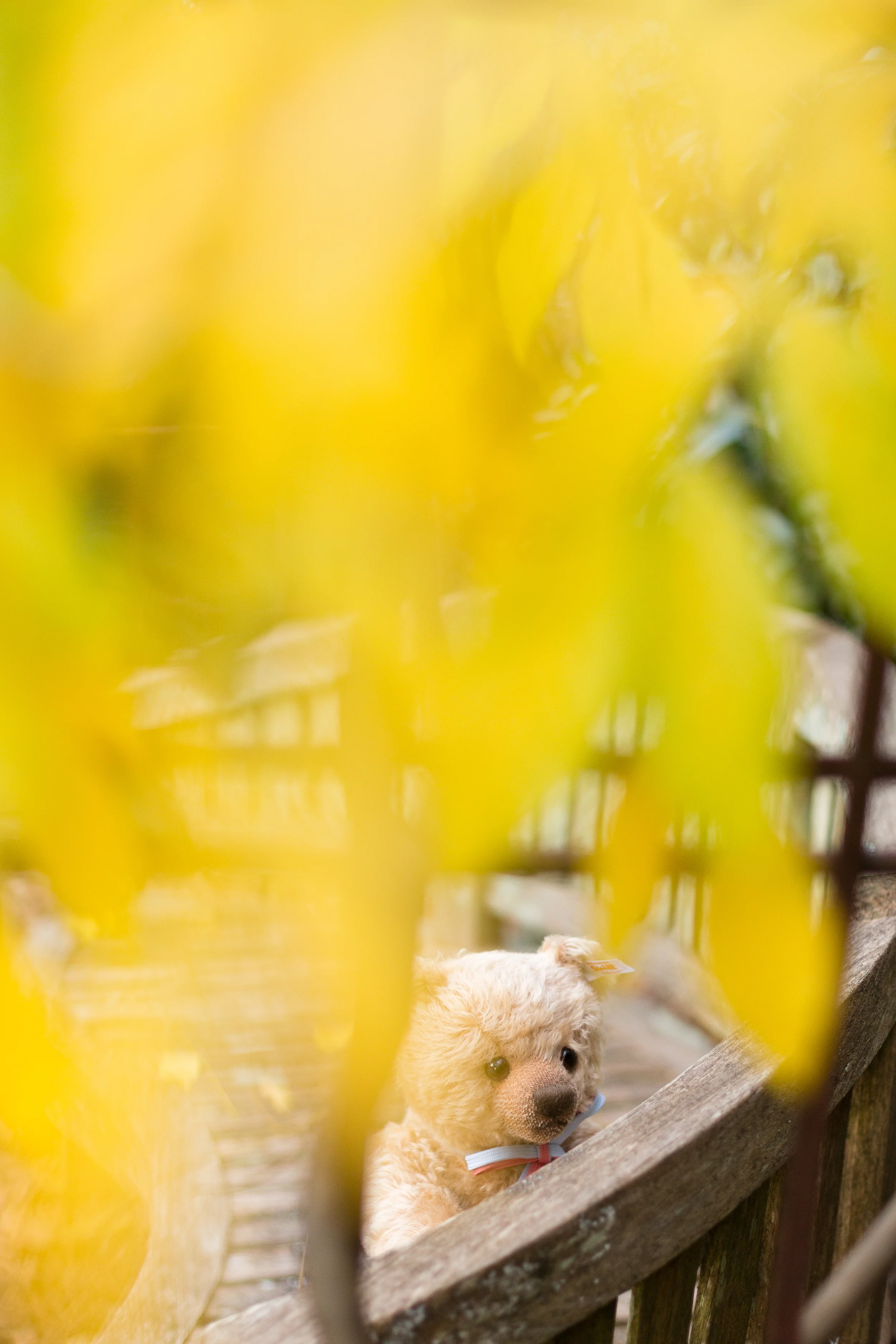 IMG_0478-Edit.jpg