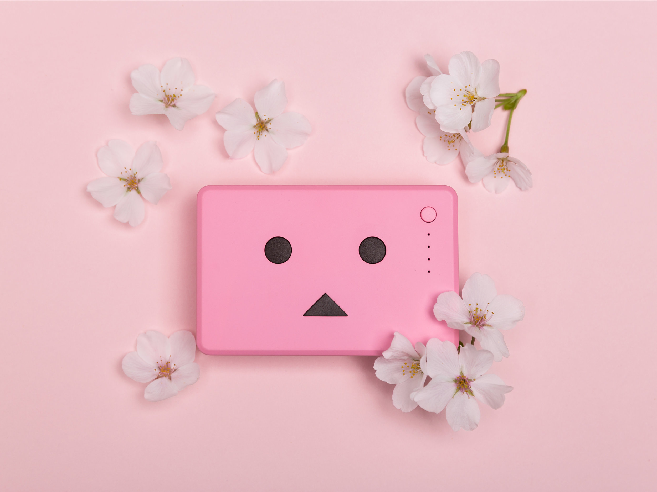 Sakura 2.jpg