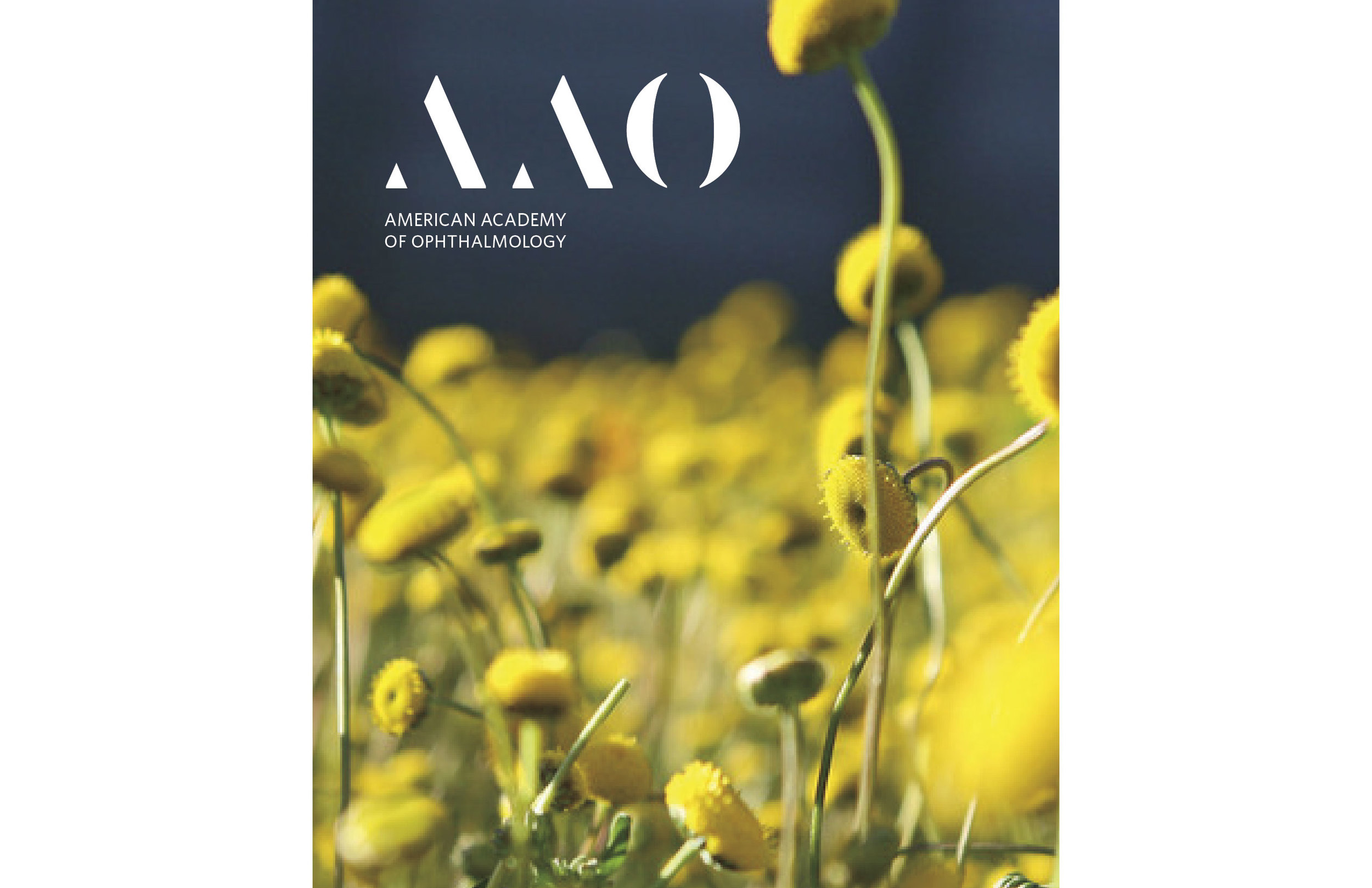 aao_11.04.14_rj-21.jpg
