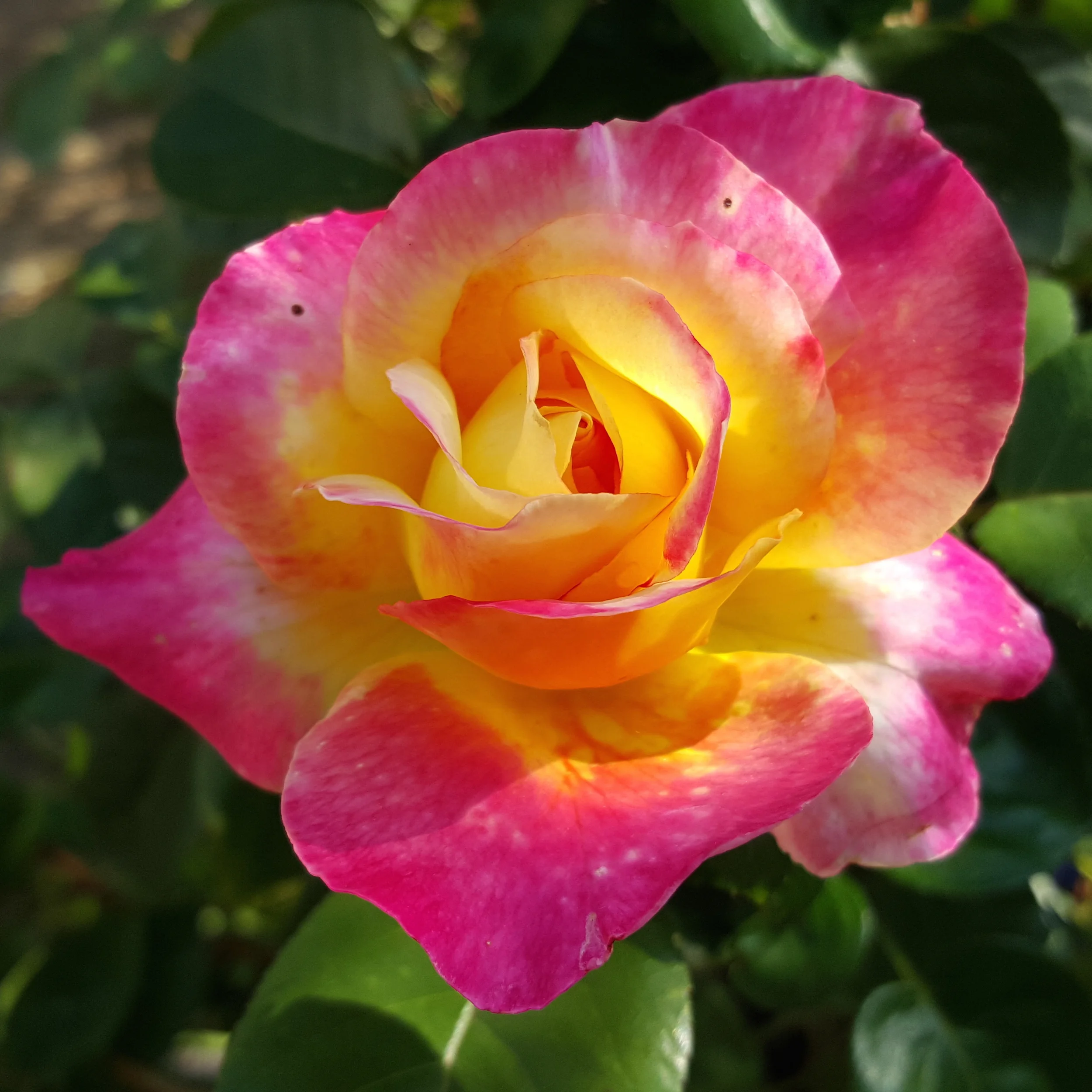 STILLNESS OR STAGNATION?