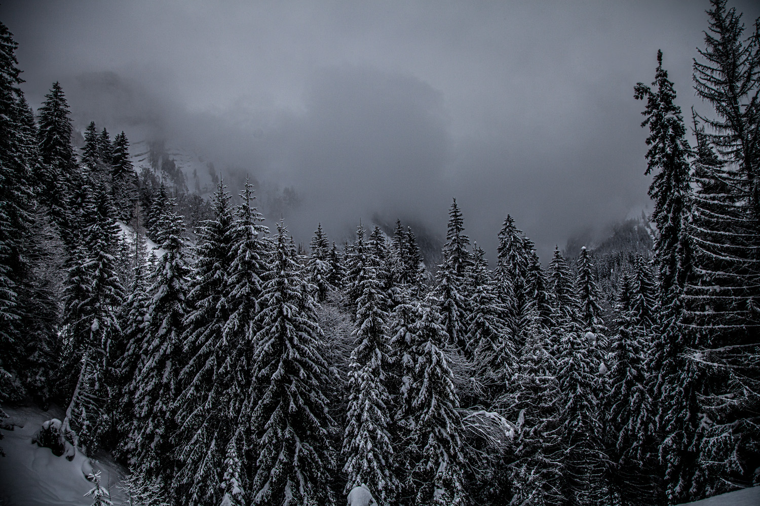 Silence