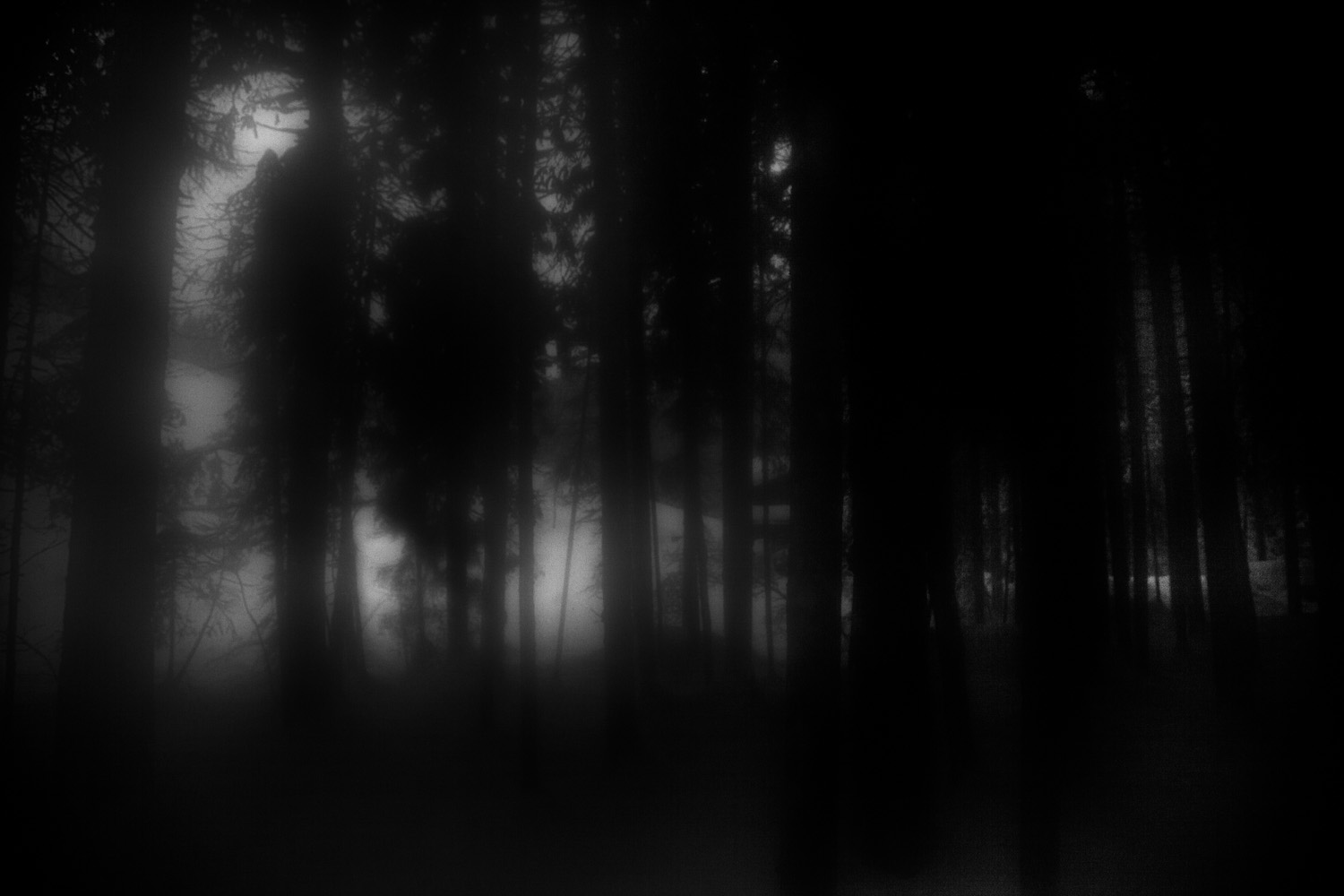 landscapes-12.jpg
