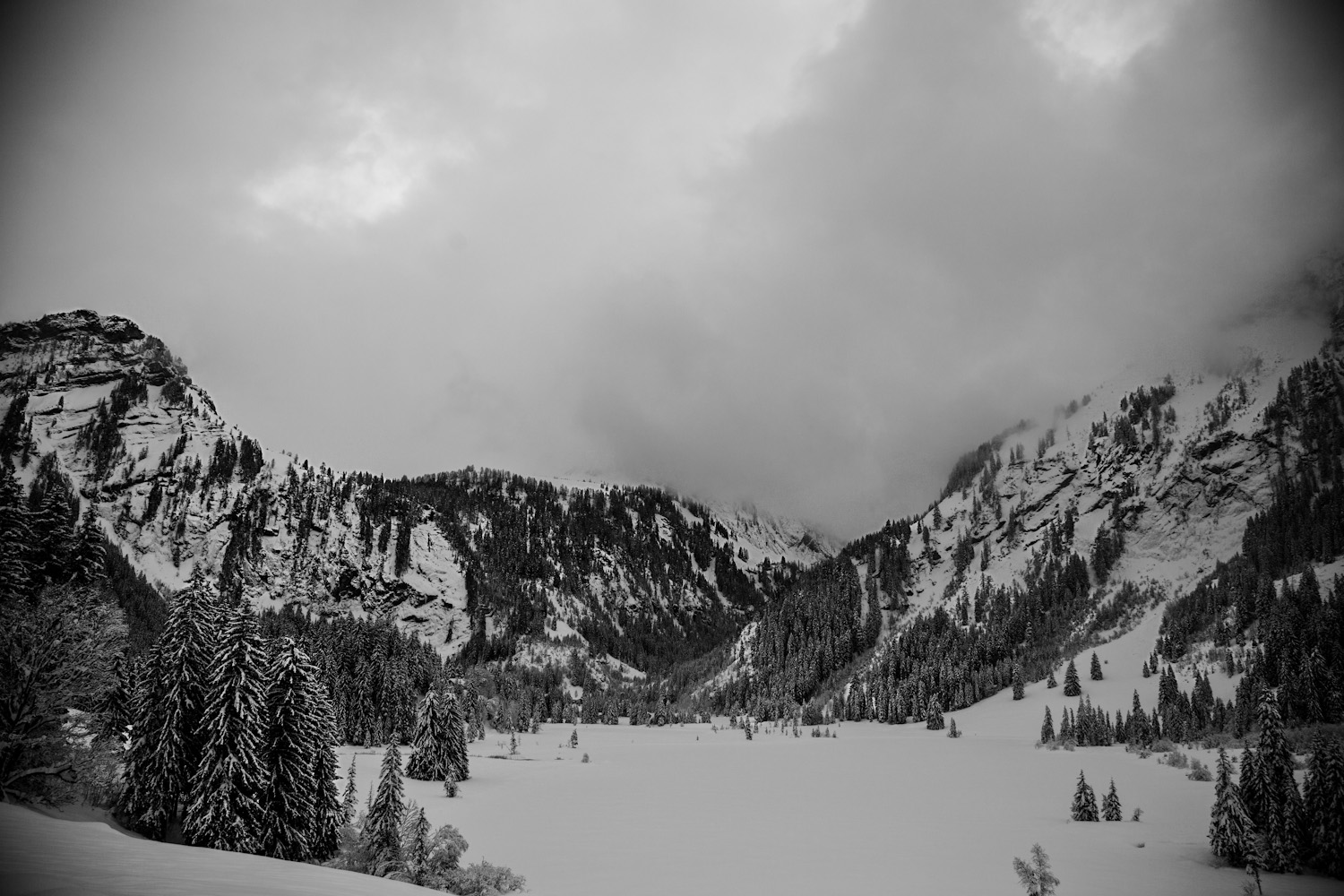 Expanse of Stillness