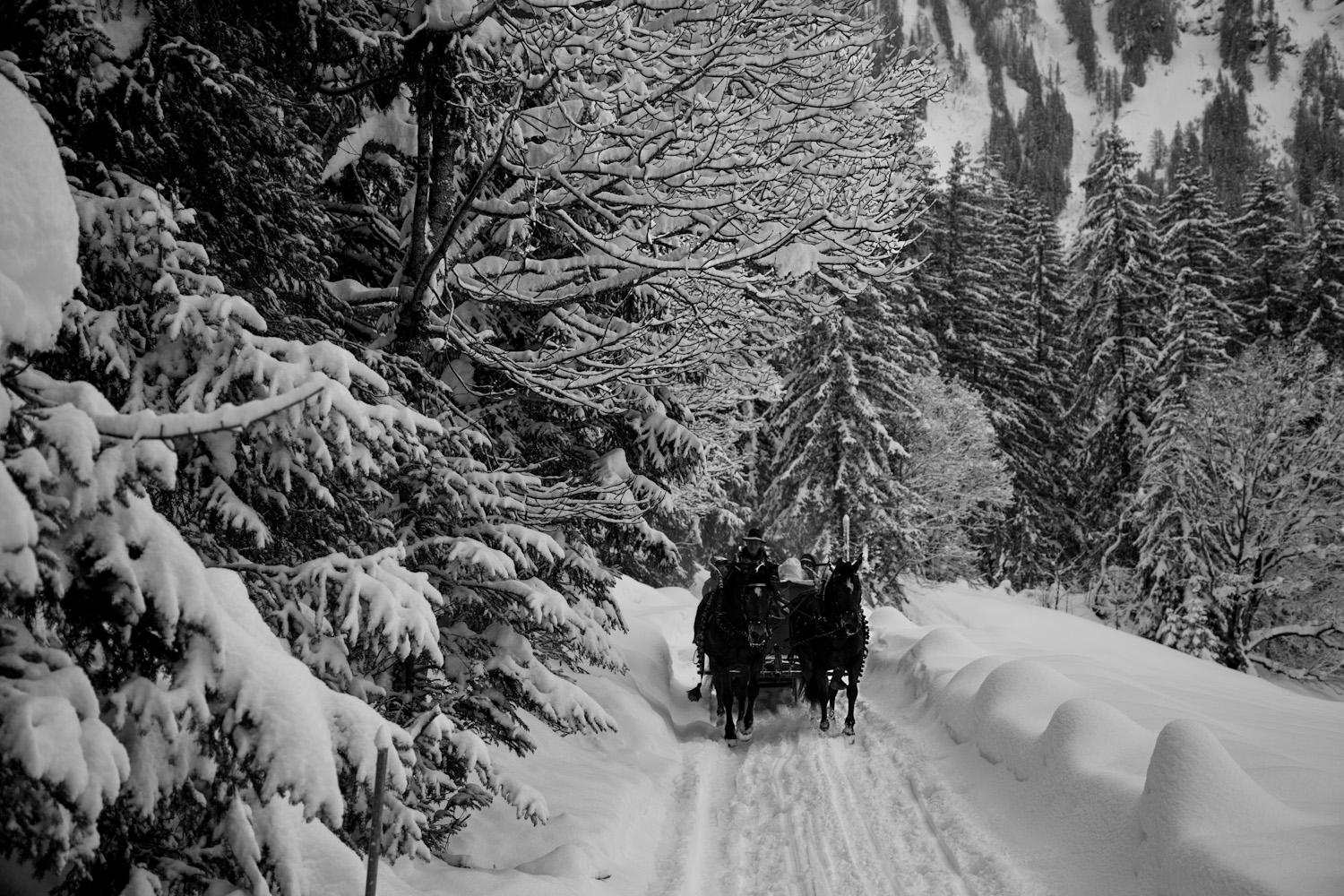 Fairytale