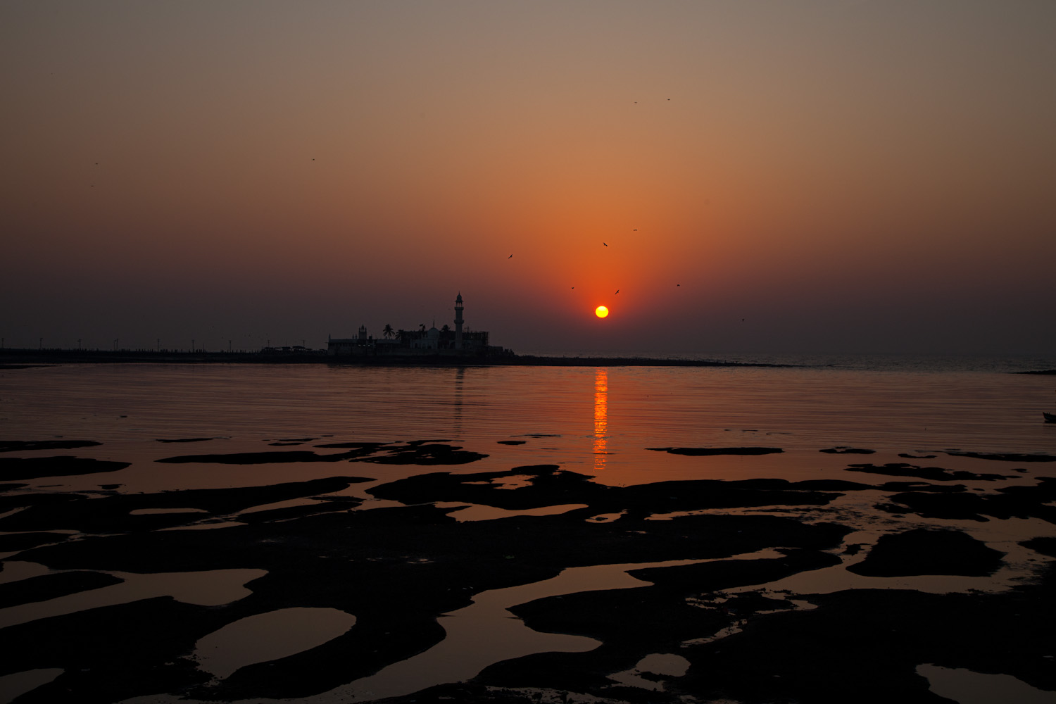 landscapes-20.jpg
