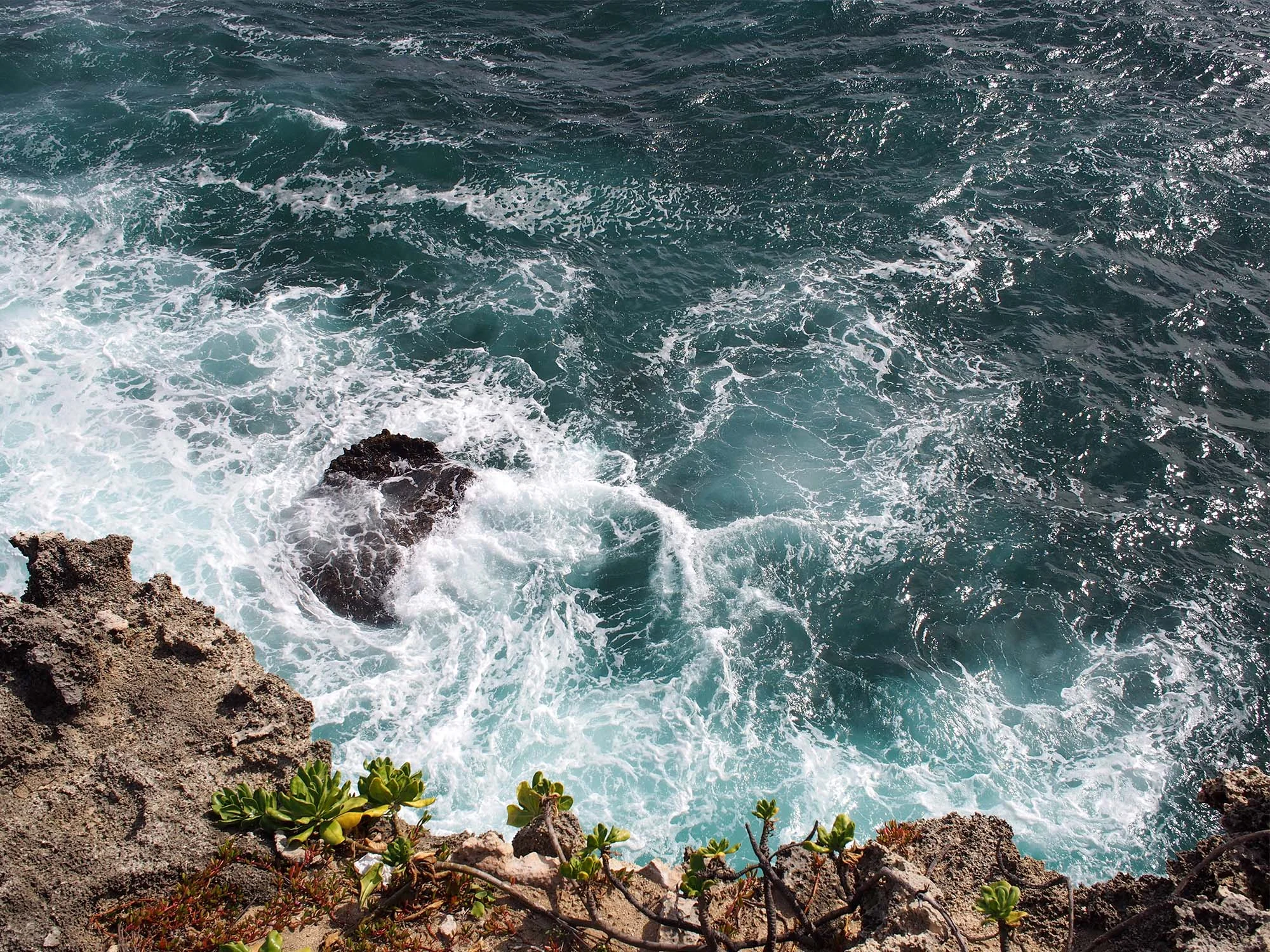 Hawaii_0069.jpg