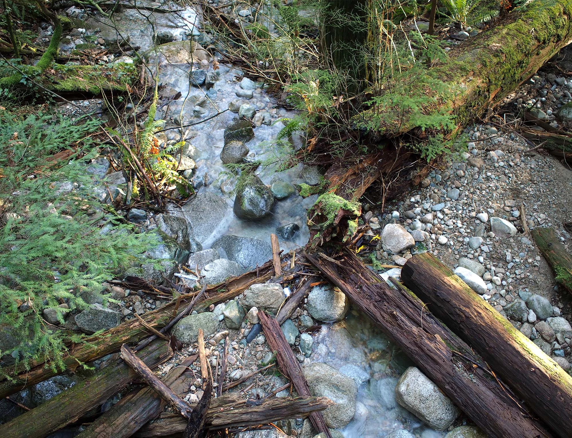 Commons_0200.jpg