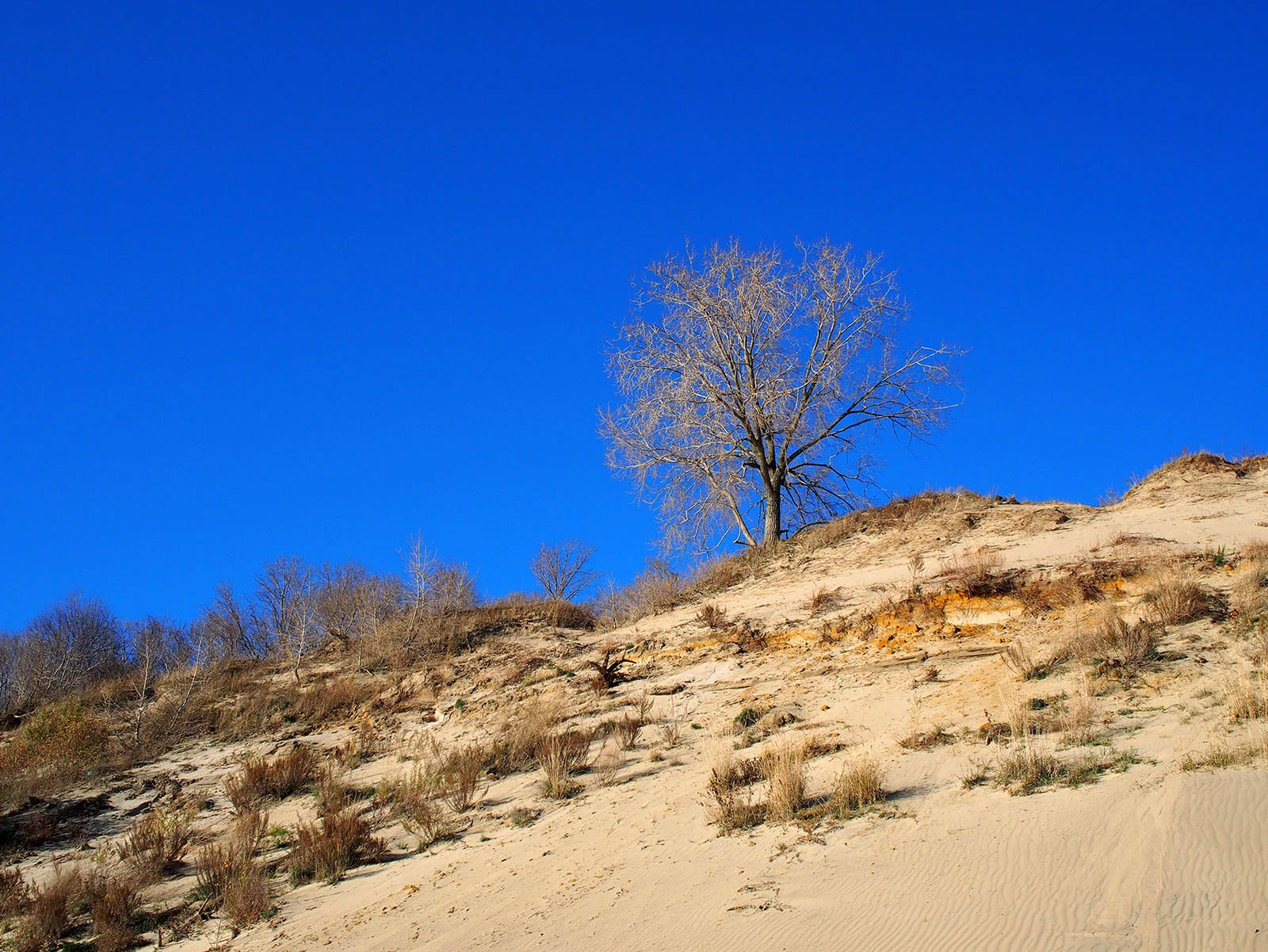 dunes1.jpg