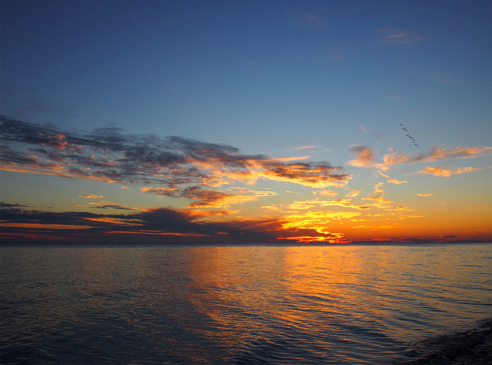 tpointsunset.jpg