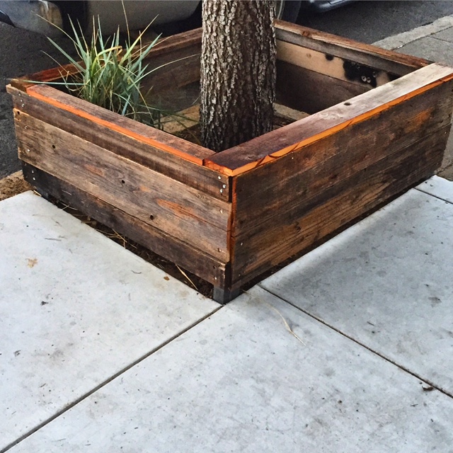 Redwood Tree Box 