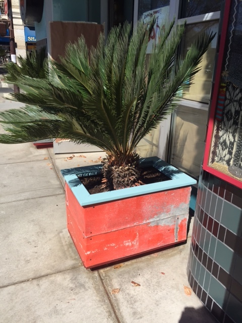 Reclaimed Planters 