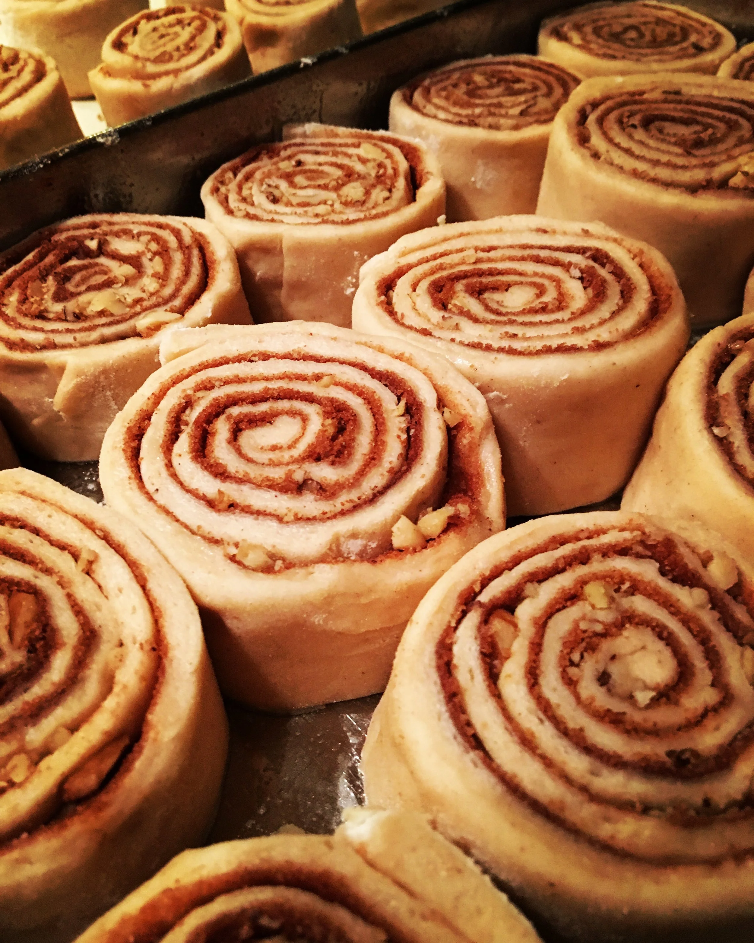 Rolled and Panned... ready to rise. 