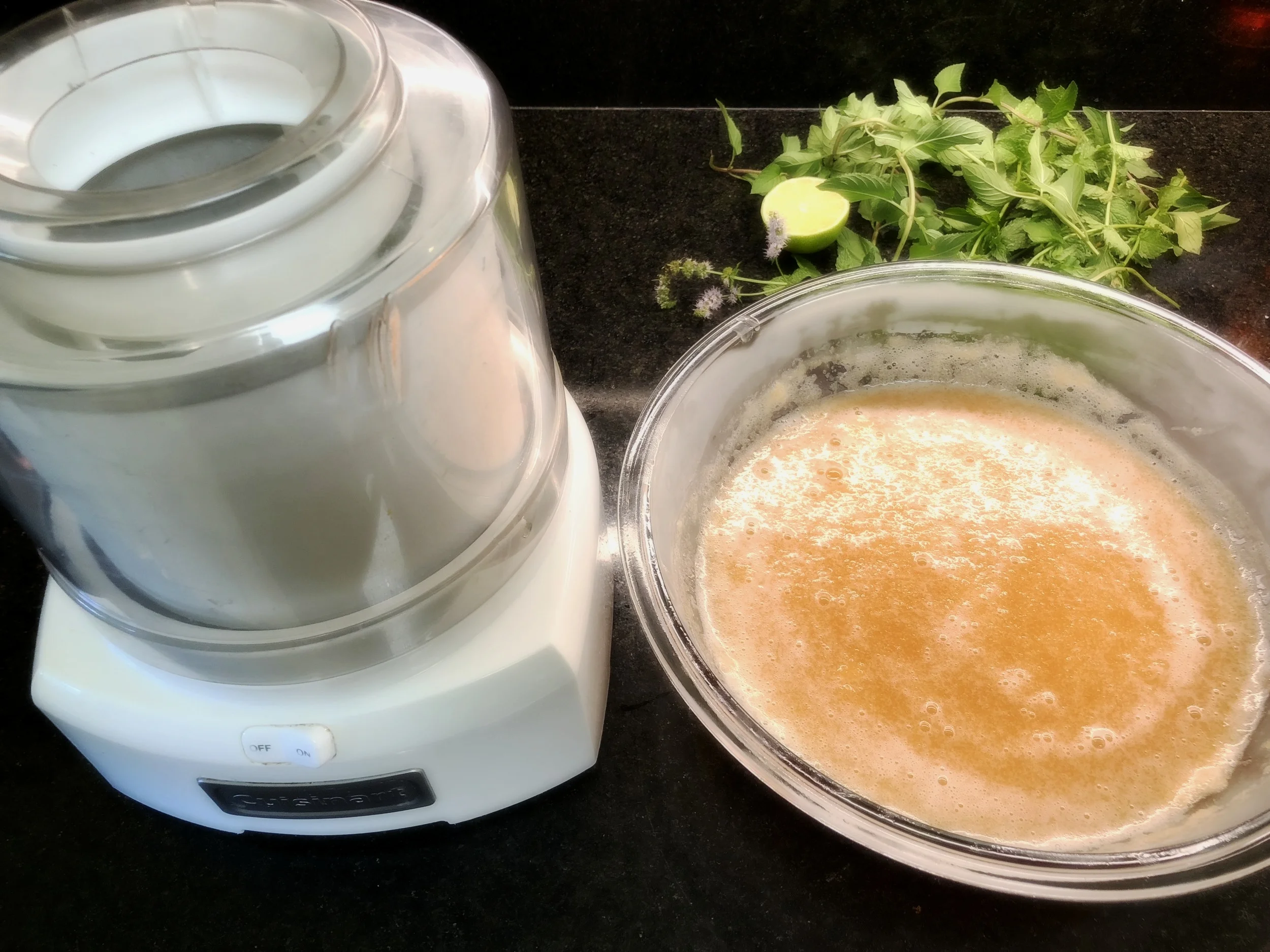 Chilled and ready to freeze in the ice cream maker.