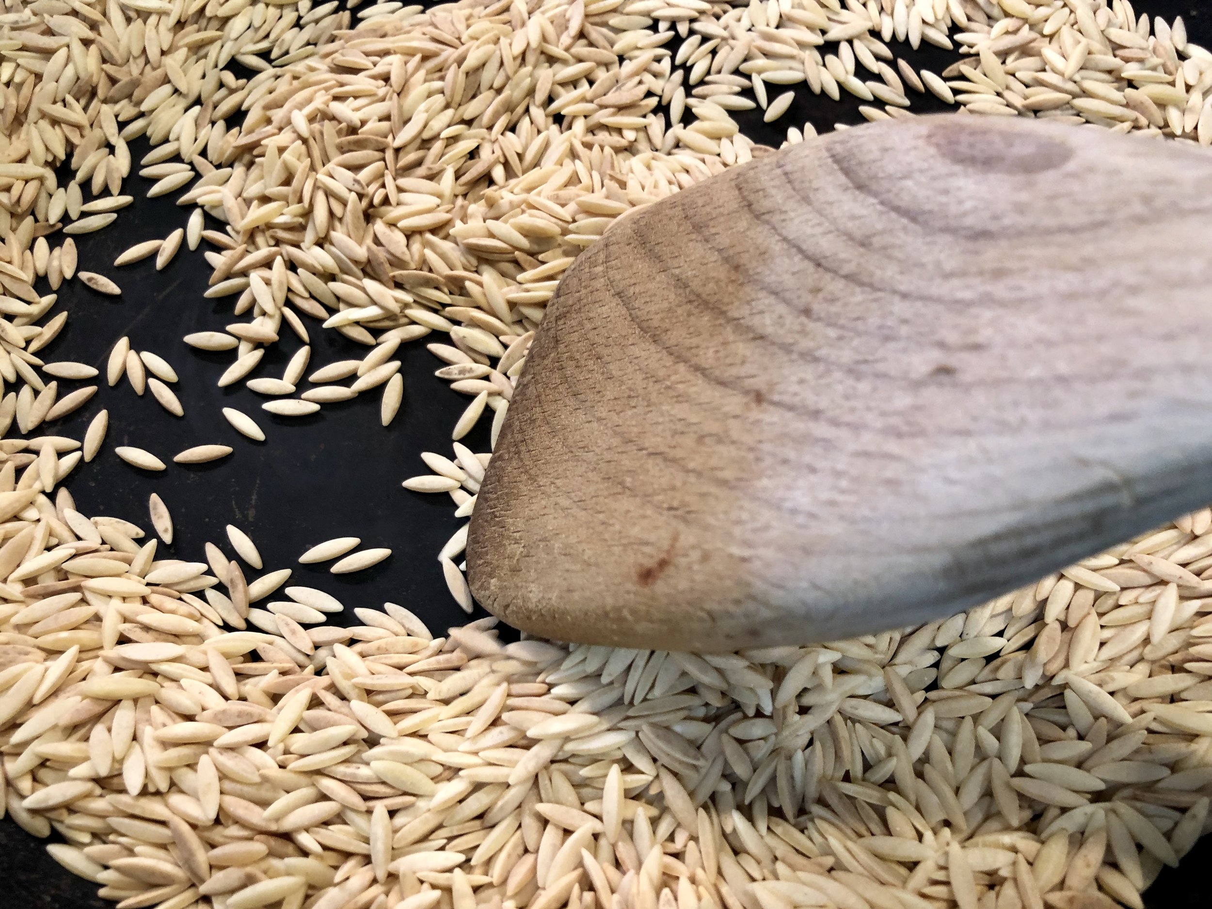 Toasting the orzo pasta