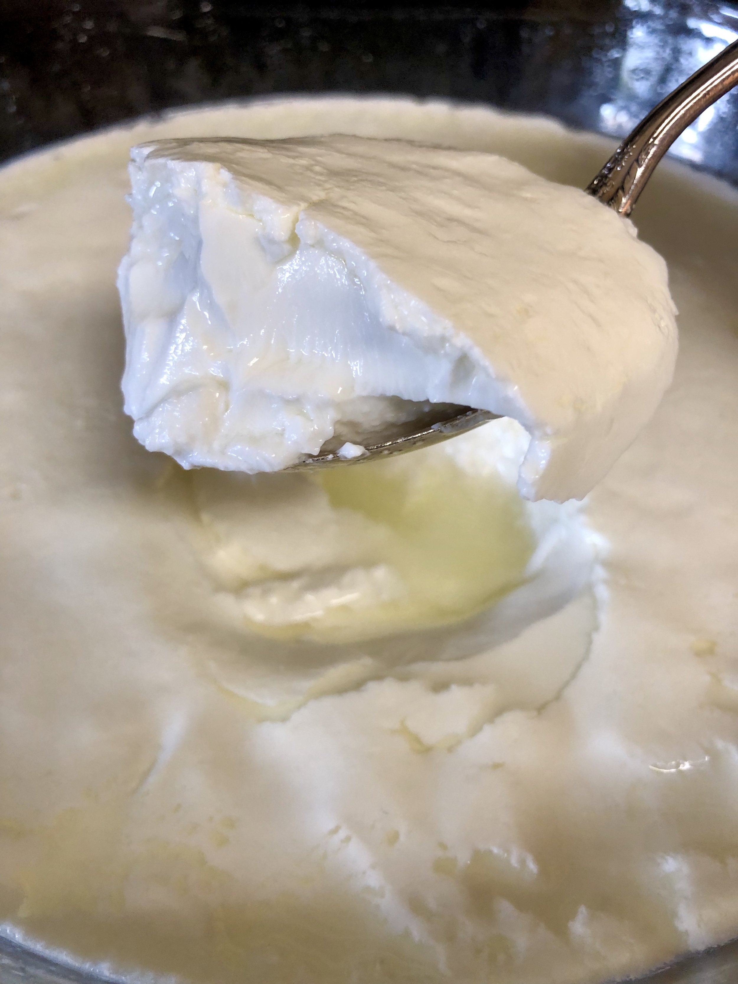 12-15 hours later, beautiful curd!