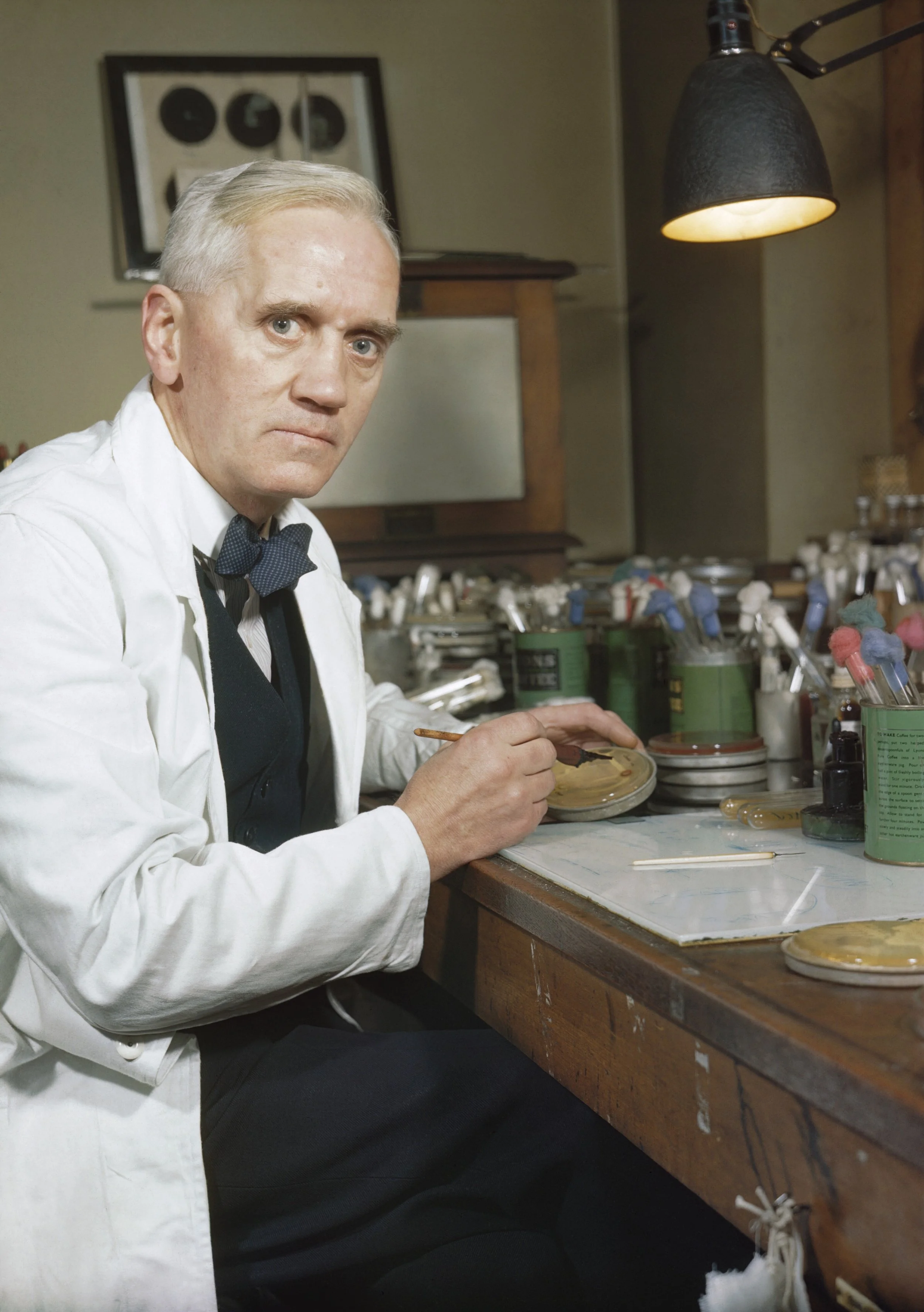 Sir Alexander Fleming, looking rather intense for the photographer By Official photographer - http://media.iwm.org.uk/iwm/mediaLib//32/media-32192/large.jpgThis is photograph TR 1468 from the collections of the Imperial War Museums., Public Domain, https://commons.wikimedia.org/w/index.php?curid=24436974