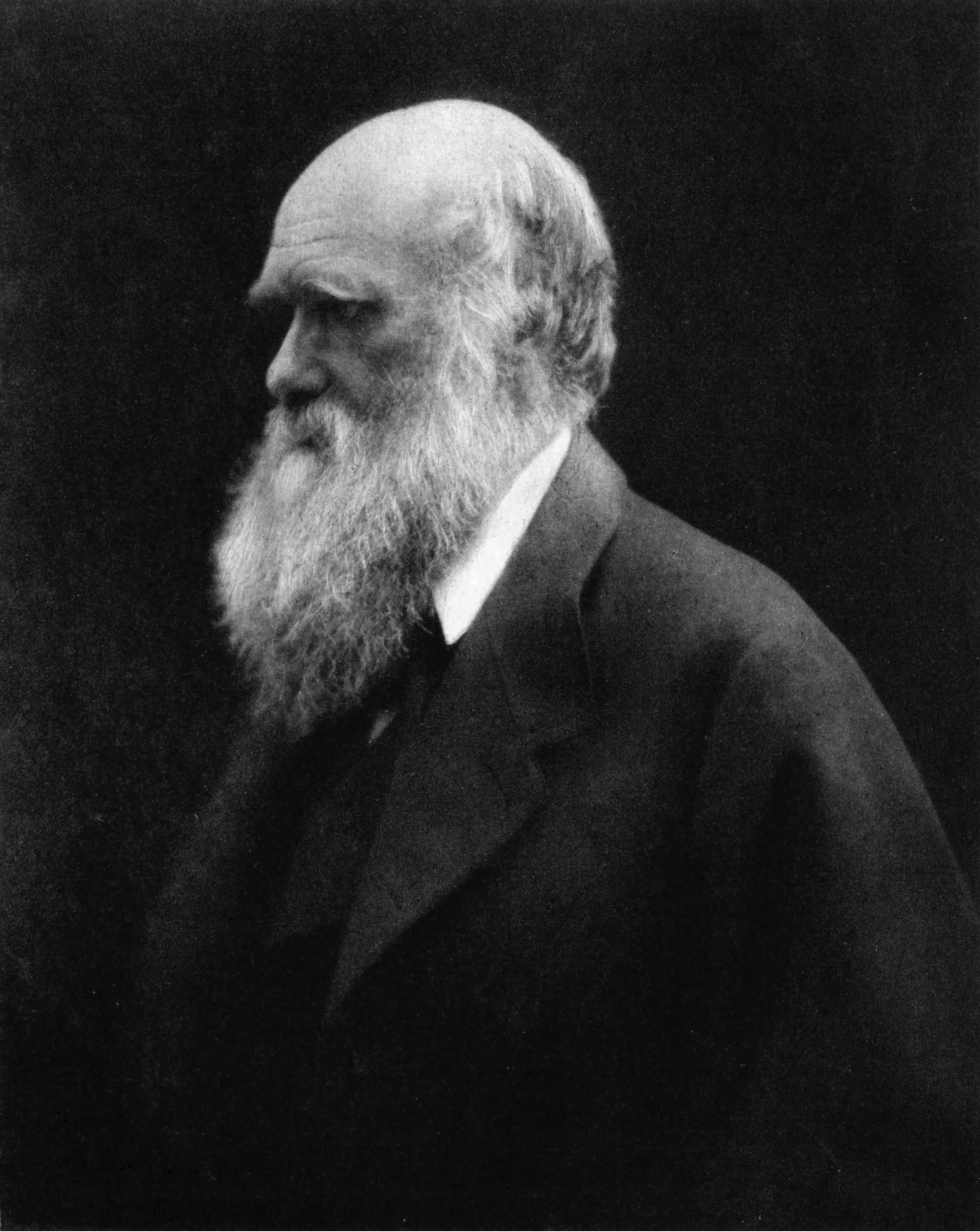 Charles Darwin By Julia Margaret Cameron - Reprinted in Charles Darwin: His Life Told in an Autobiographical Chapter, and in a Selected Series of His Published Letters, edited by Francis Darwin. London: John Murray, Albemarle Street. 1892.Scanned by User:Davepape, Public Domain, https://commons.wikimedia.org/w/index.php?curid=3560761