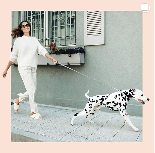 Screen Shot 2019-10-21 at 3.24.15 PM.png