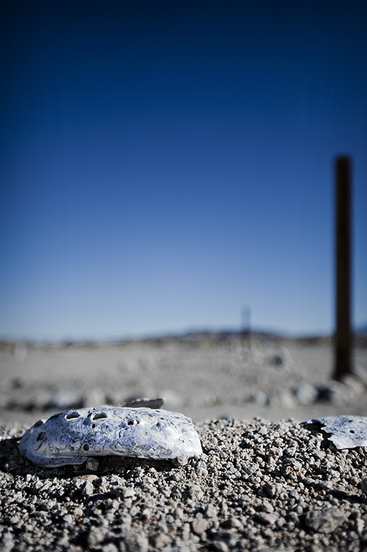 20120321_IMG_21972 copy.png