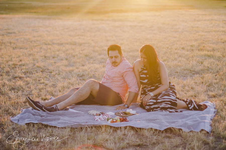 Harpreet & Gurinder, Engagement Session, low-res - Emmy Lou Virginia Photography-135.jpg