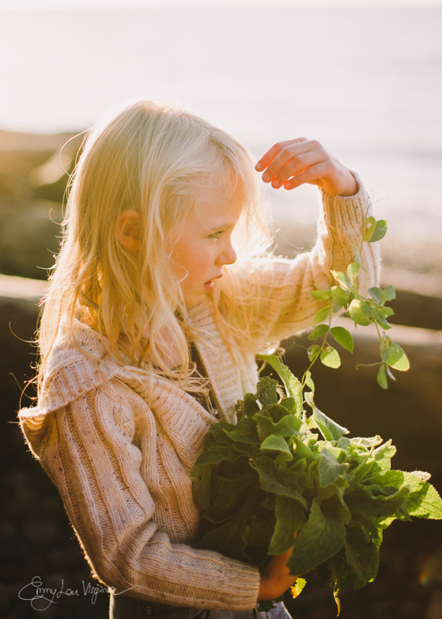 Vancouver Family Photographer - Emmy Lou Virginia Photography-66.jpg