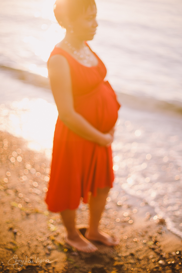 Vancouver Maternity Photographer - Emmy Lou Virginia Photography-26.jpg