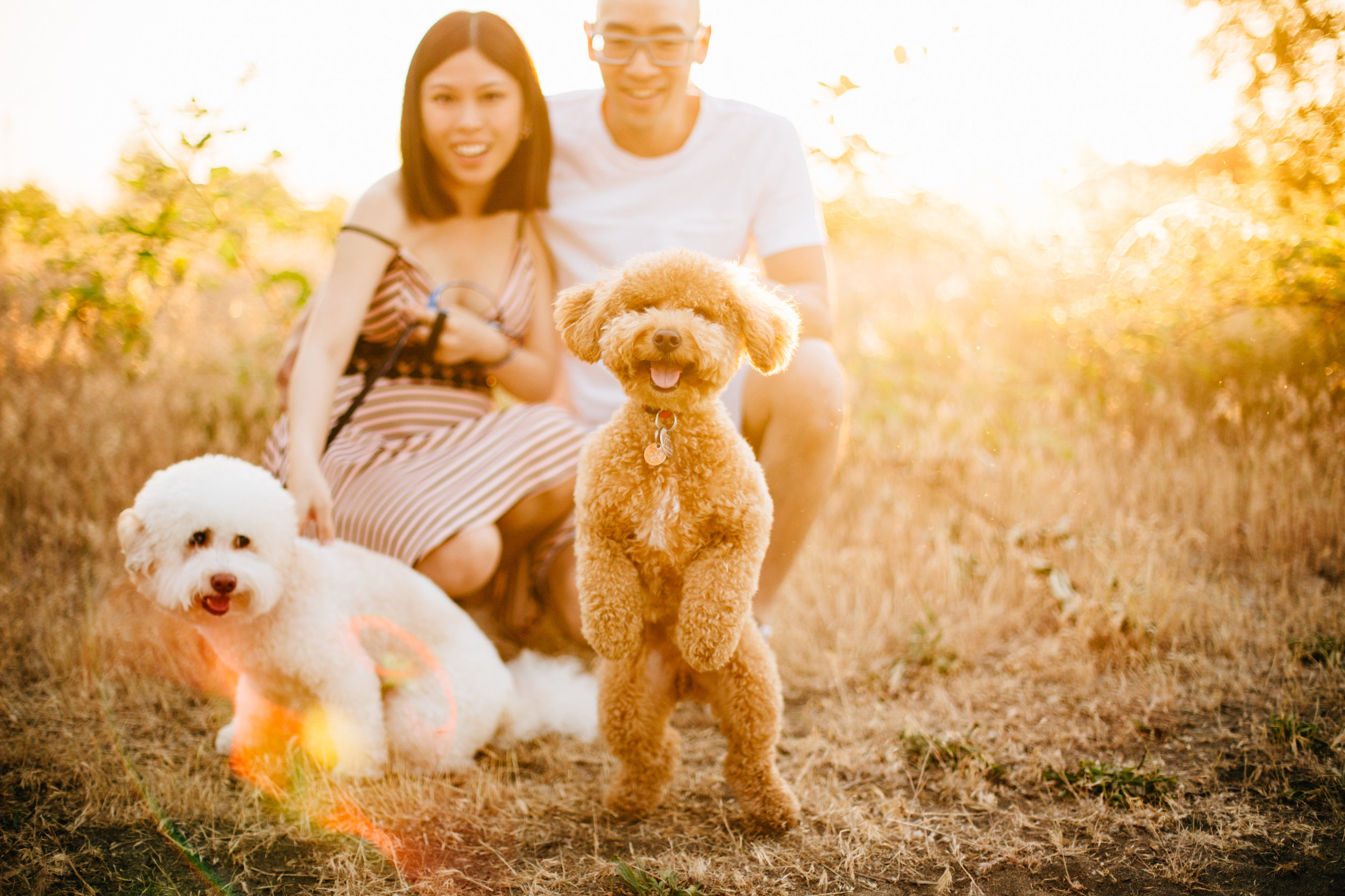 Olivia&Shane,MaternitySession-EmmyLouVirginiaPhotography-132.jpg