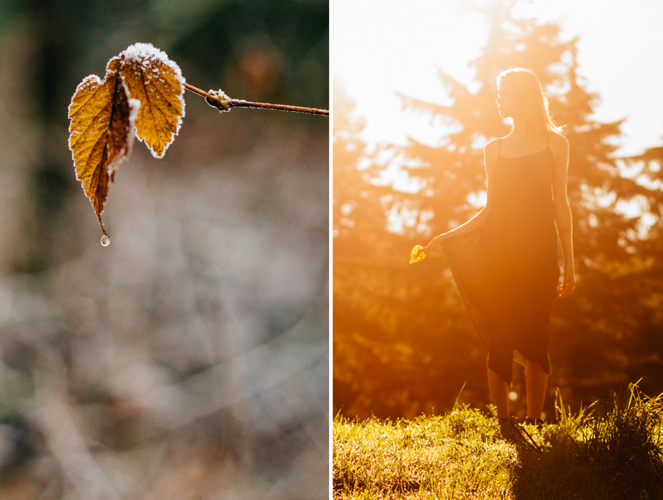 Vancouver Family Photographer - Emmy Lou Virginia Photography-20.jpg