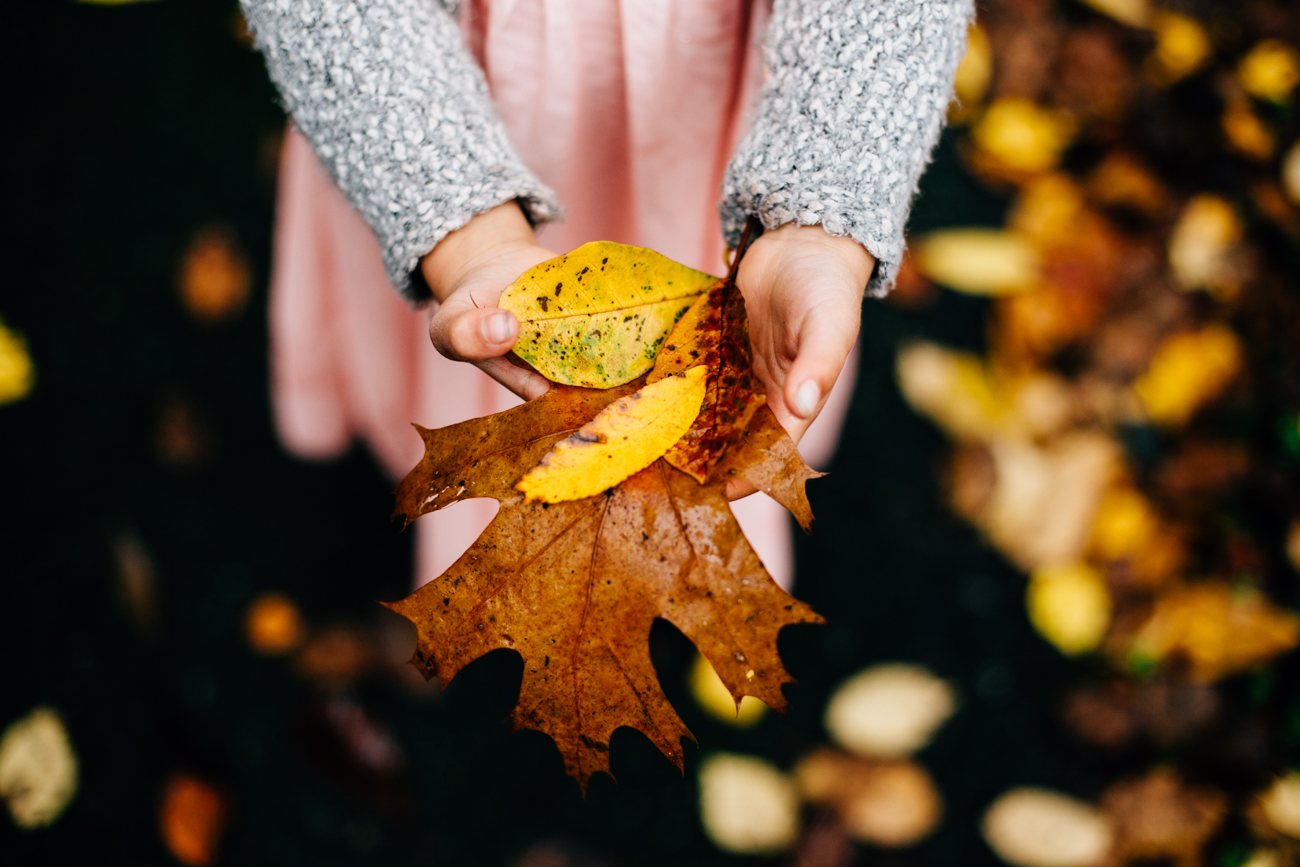 Vancouver Family Photographer - Emmy Lou Virginia Photography-109.jpg