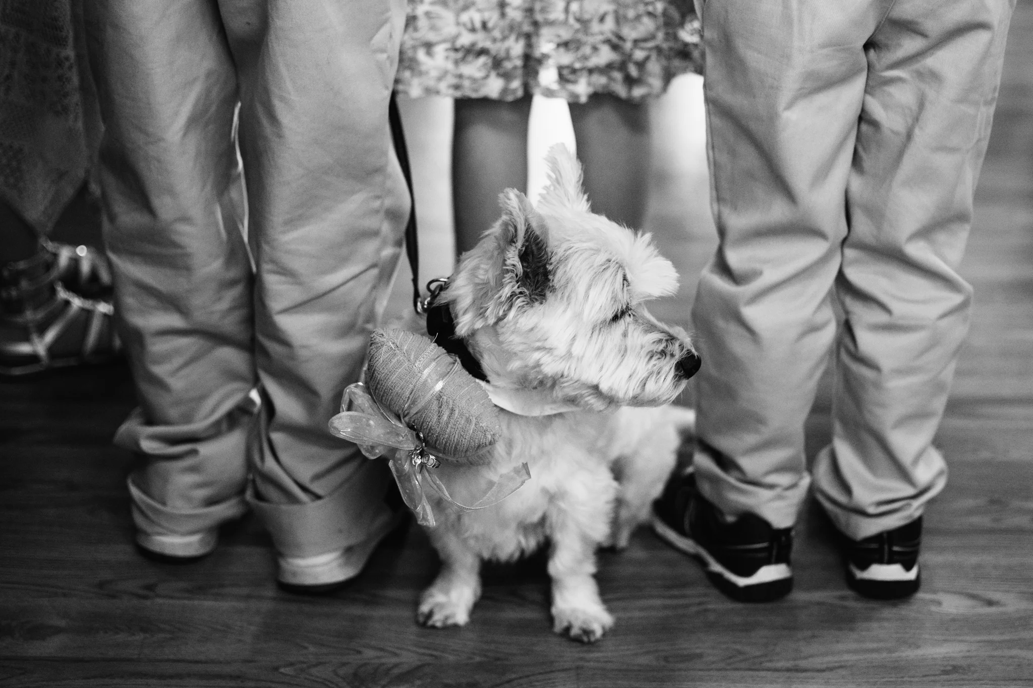 Vancouver Love Story Photographer - Emmy Lou Virginia Photography-43.jpg