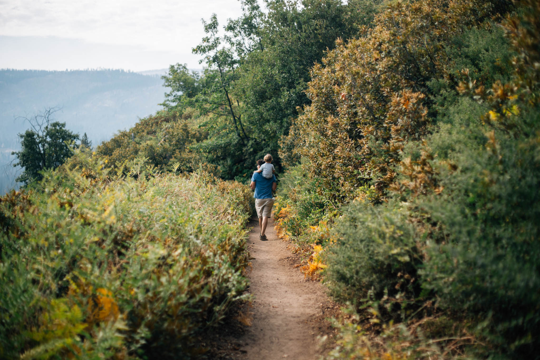 Vancouver Photographer - West Coast Road Trip-Emmy Lou Virginia Photography-93.jpg