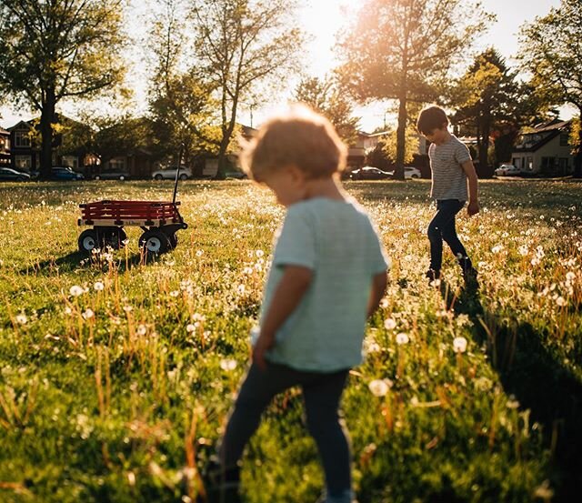 It looks idyllic, but there&rsquo;s a 93% chance they were actually just running around yelling the word &ldquo;poop&rdquo; (and then laughing hysterically). #matthiasandjamie