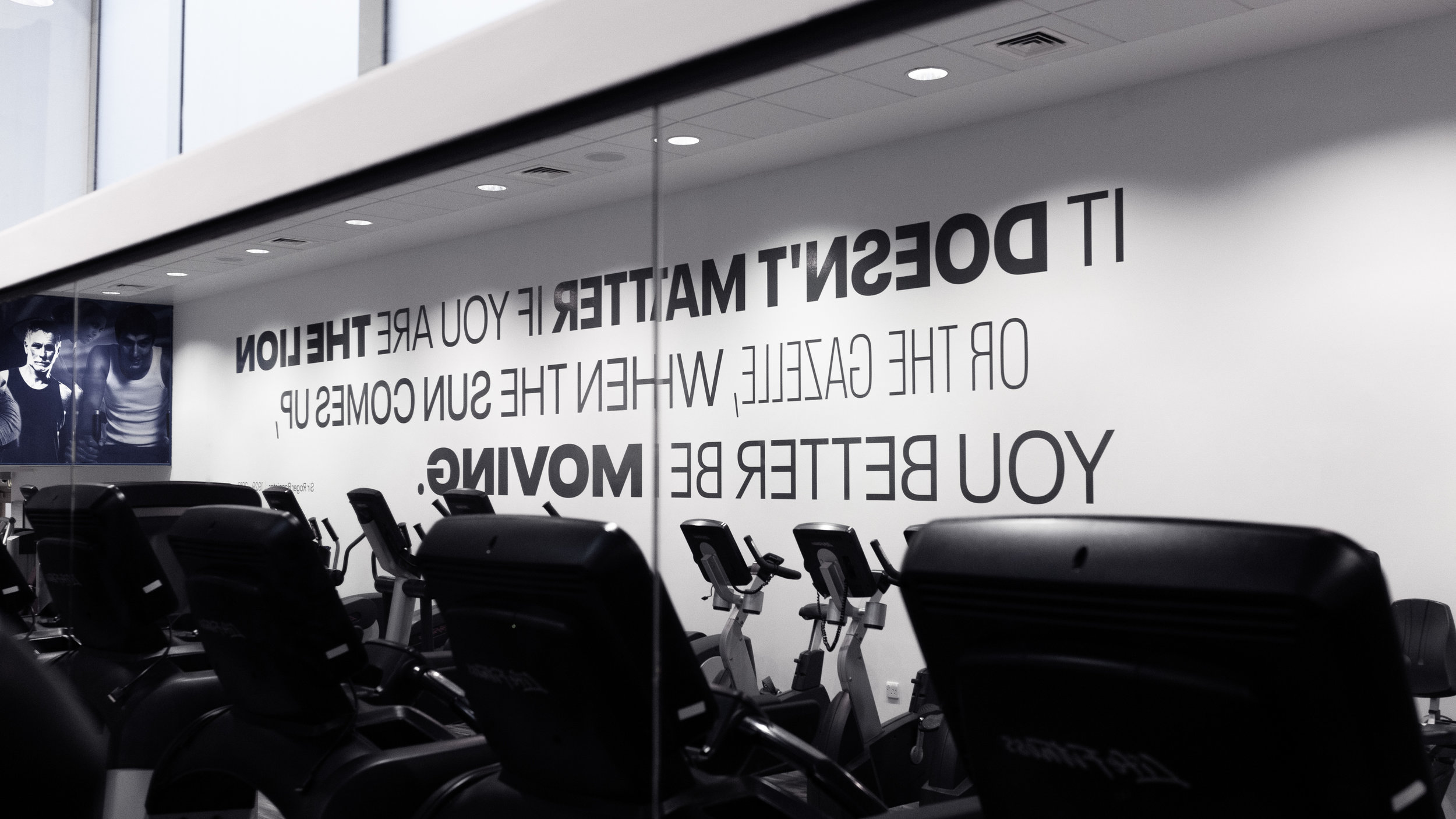 ucsa-wall-graphics-3.jpg