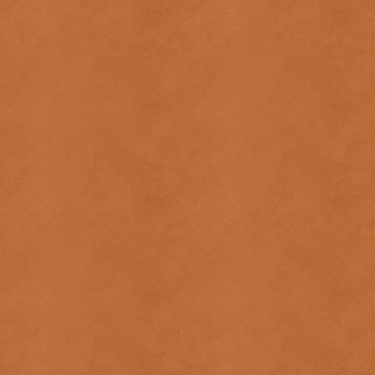 cq5dam.thumbnail.768.768 (1).jpg