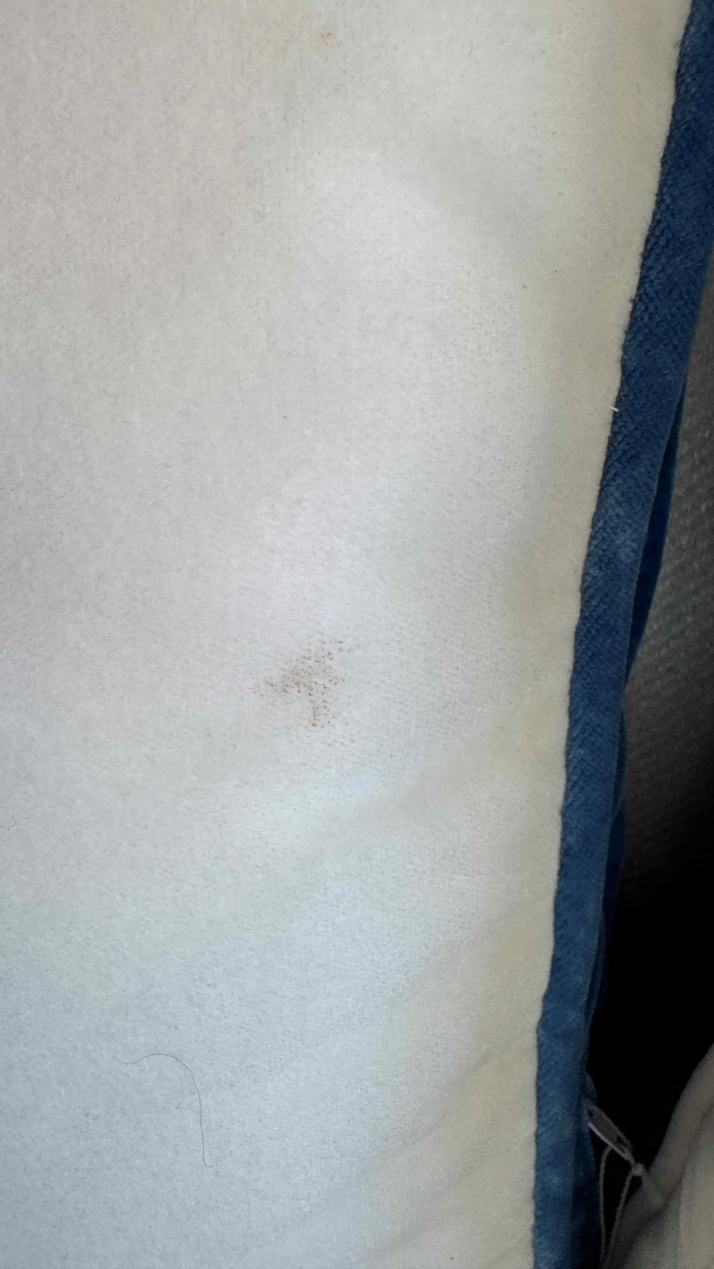 cr-laine-3-seat-ivory-blue-sofa-contemporary-made-in-usa 12c.jpg