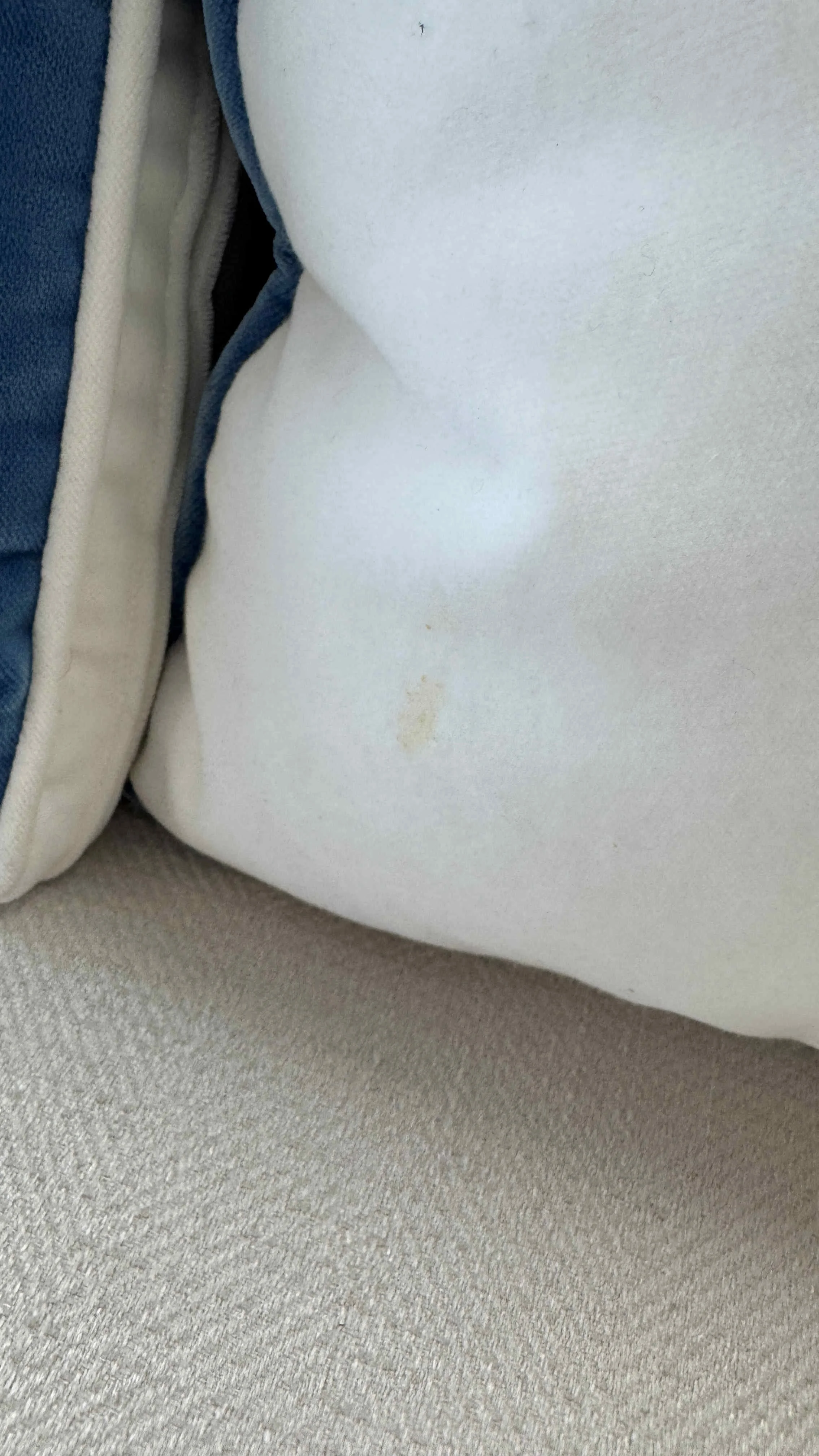 cr-laine-3-seat-ivory-blue-sofa-contemporary-made-in-usa 12b.jpg