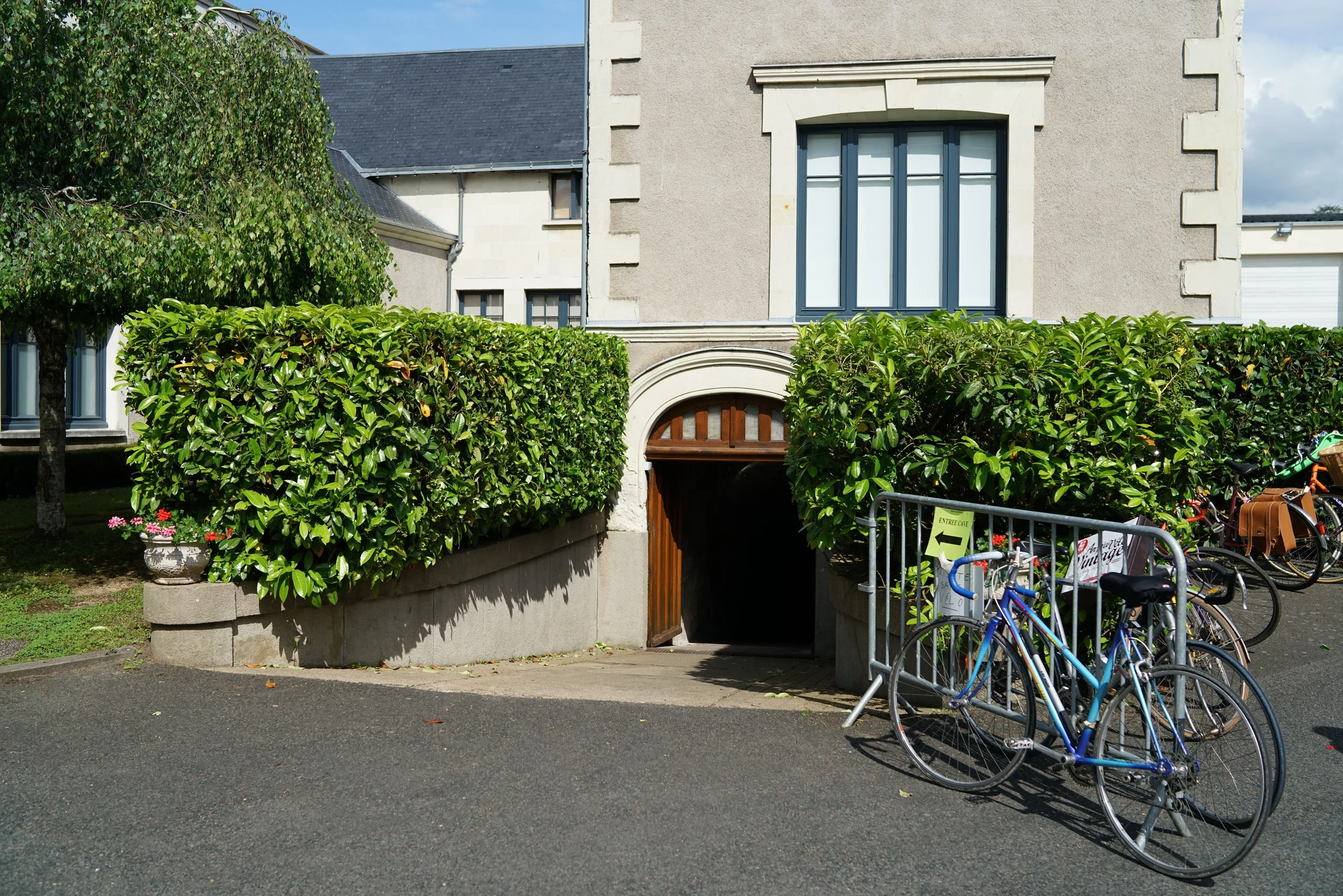 DSC02680.jpg